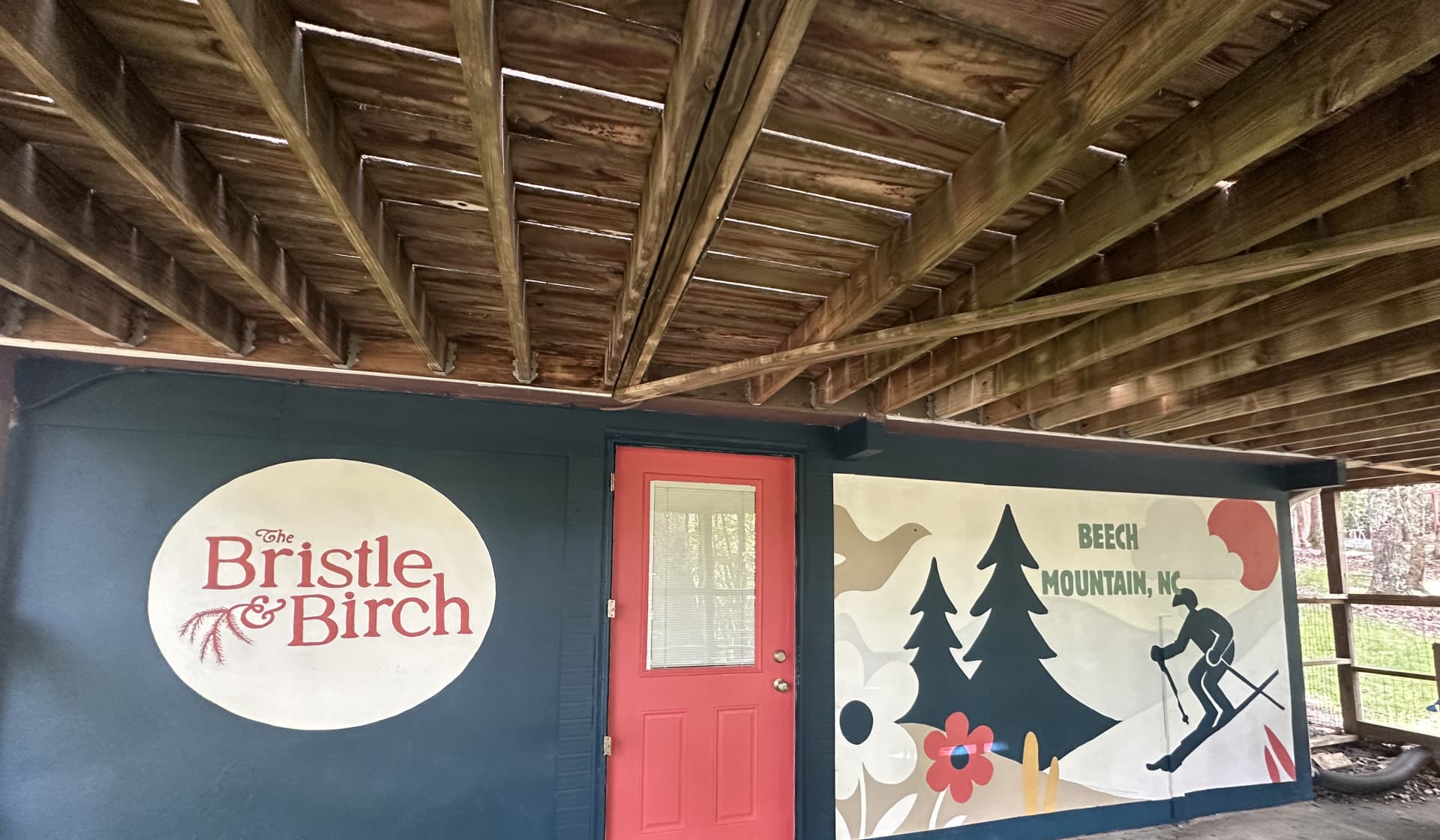 The Bristle Birch