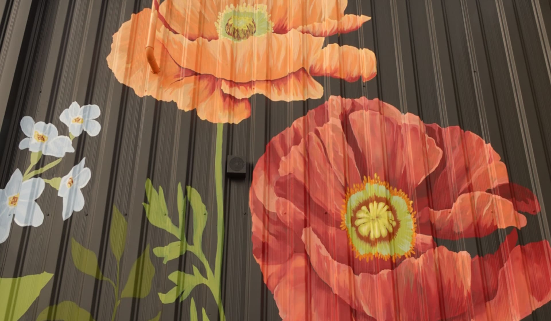 Whispers of Blooming Color and Life
