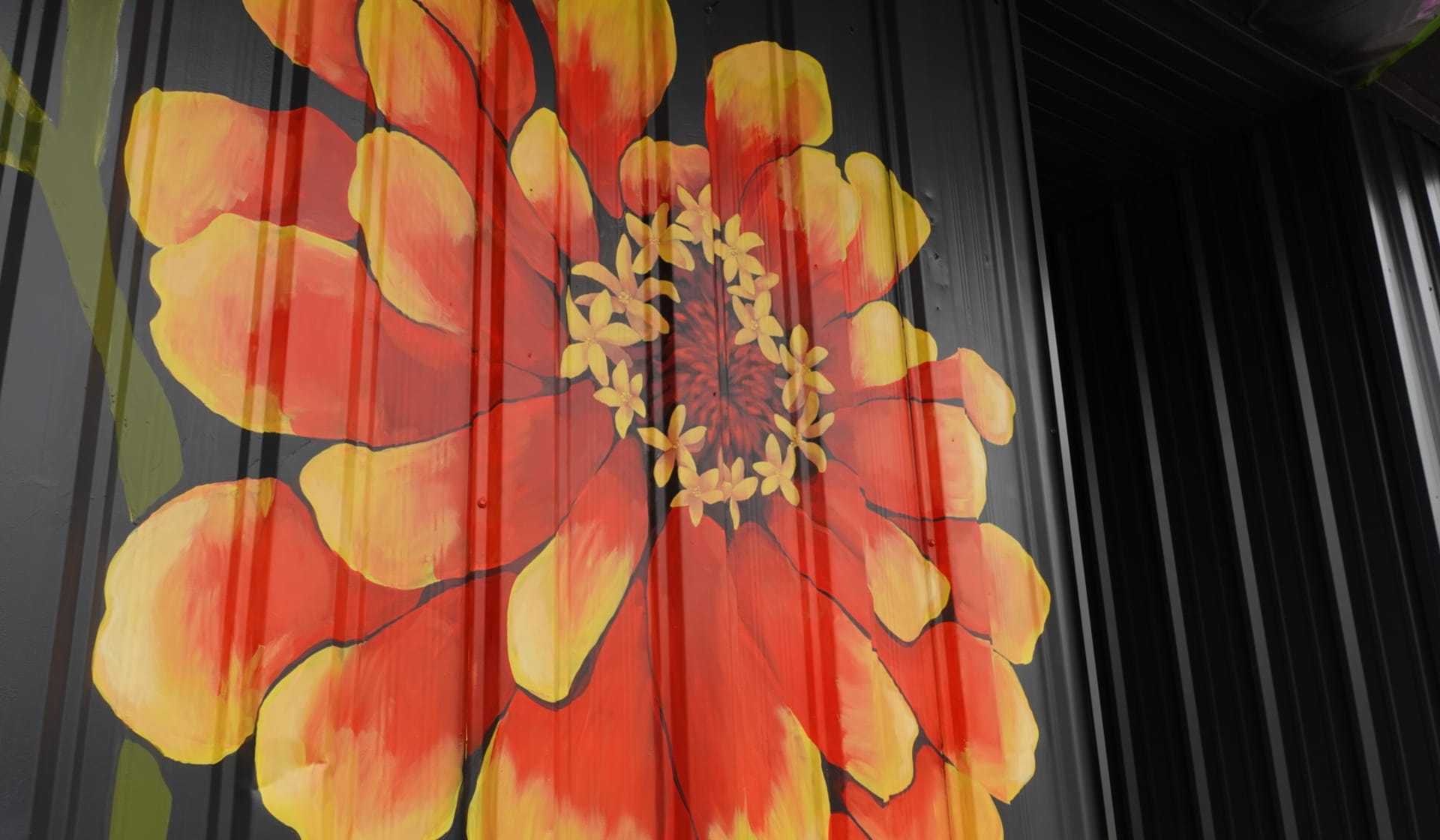 Vibrant Blooms Against Urban Shadows