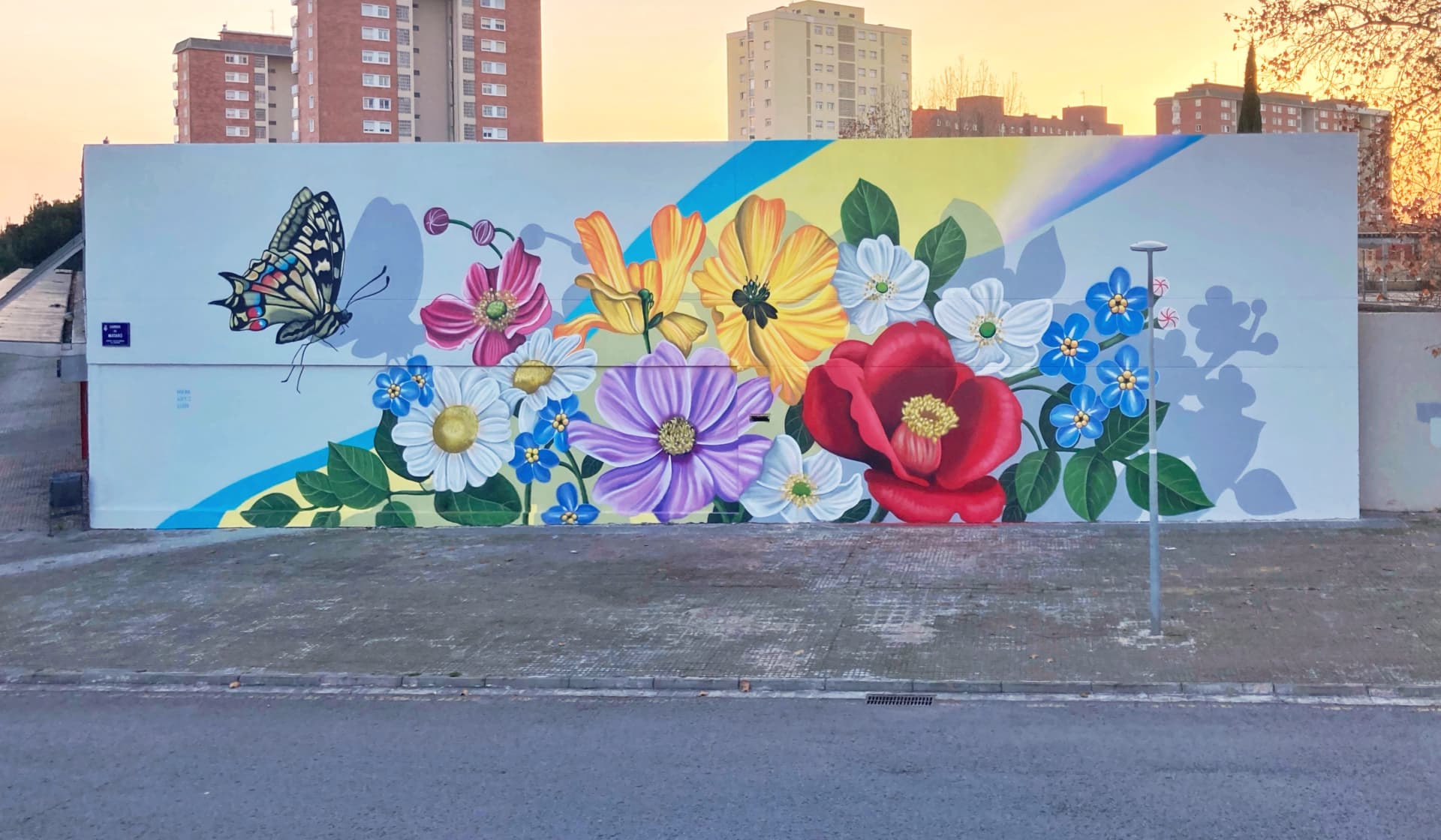 Whispers of Color in Urban Bloom