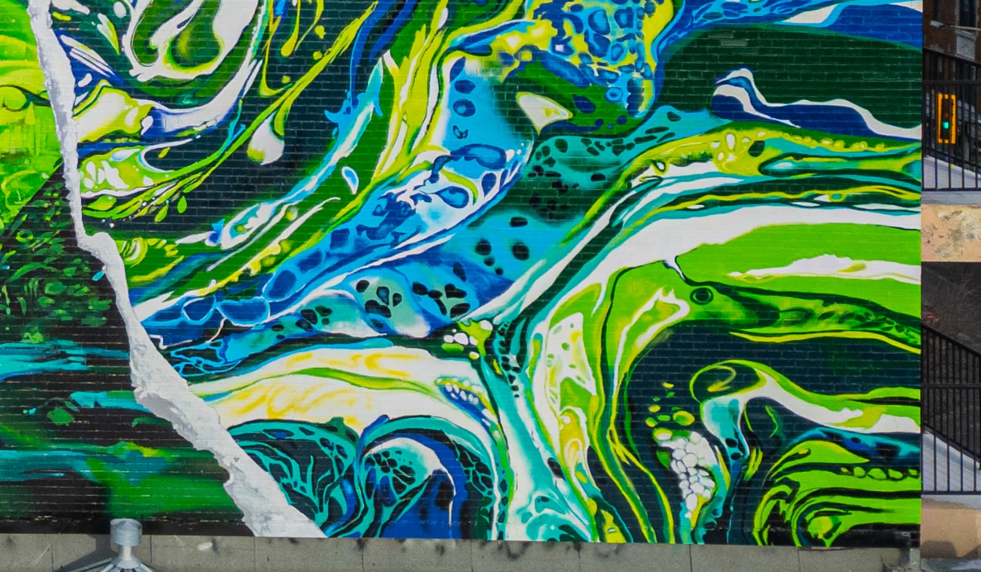Fluid Harmony in Vibrant Tides