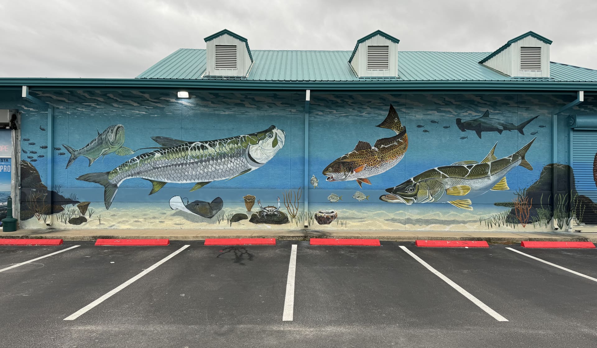Tarpon Fishing Outfitters mural