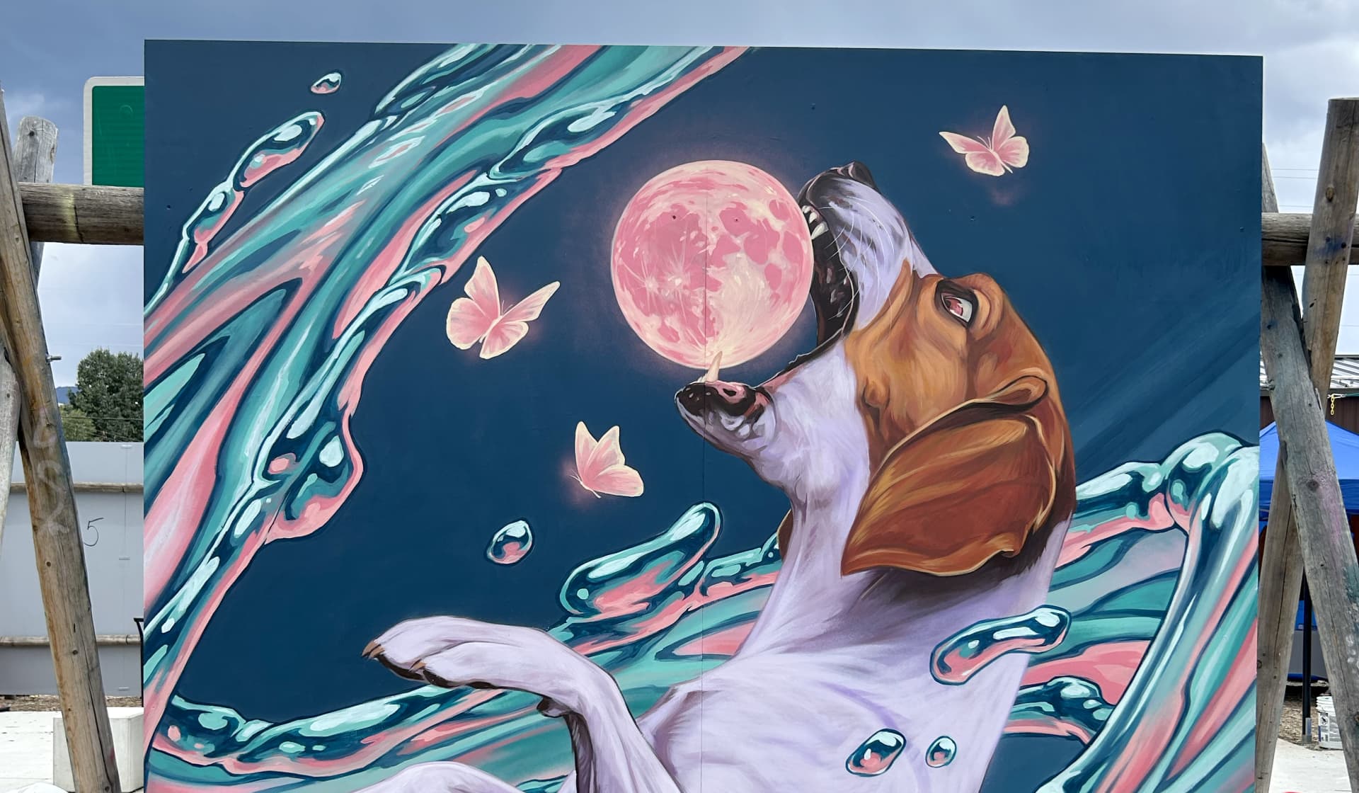Joyful Whimsy in a Splash of Color