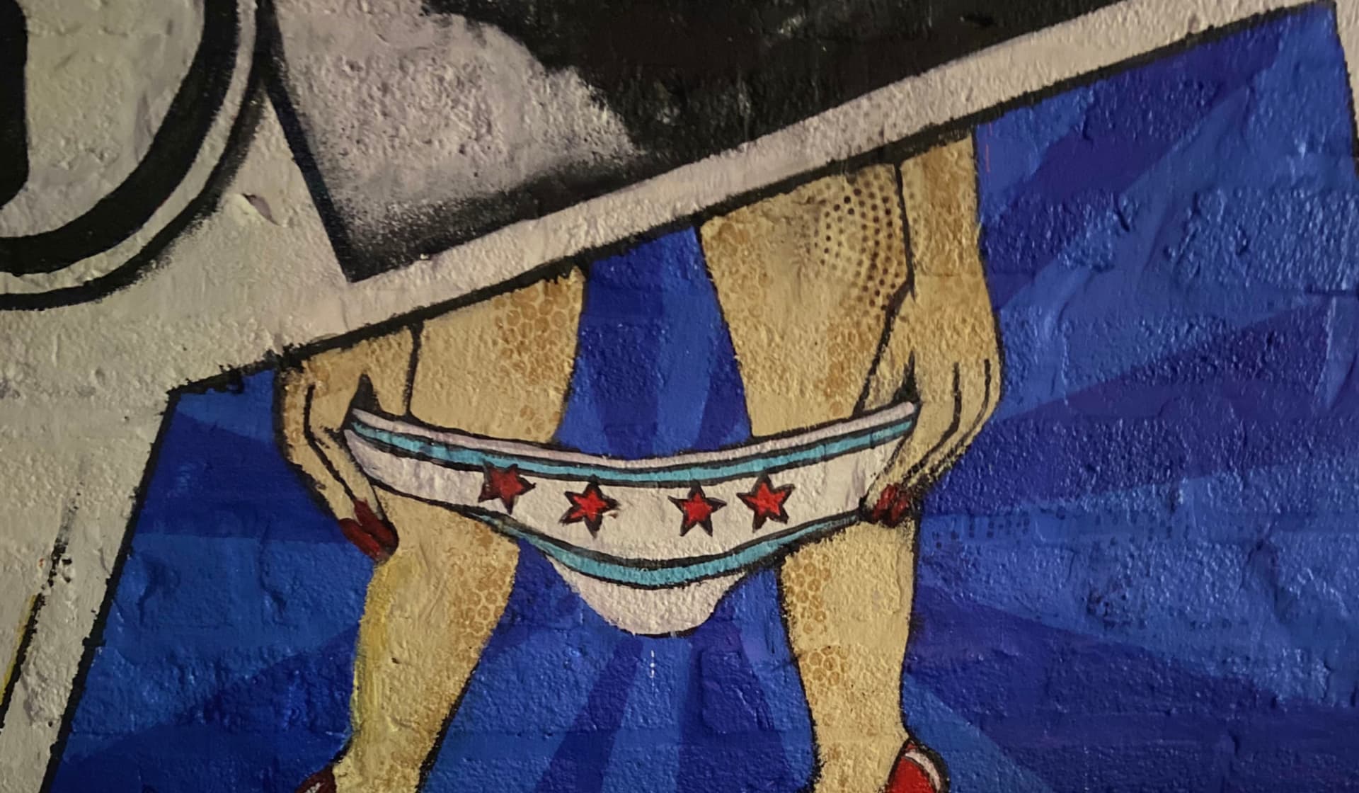 Chicago Panties