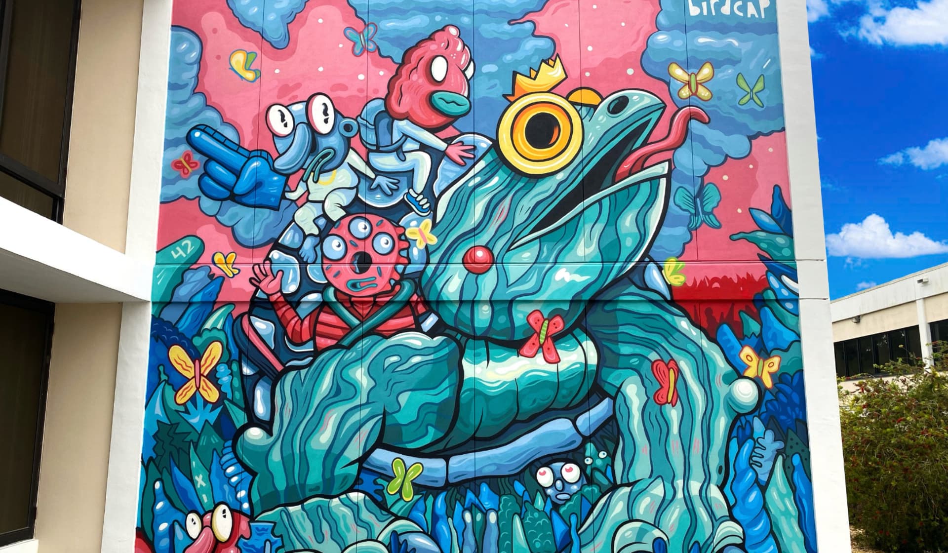 Turtle King