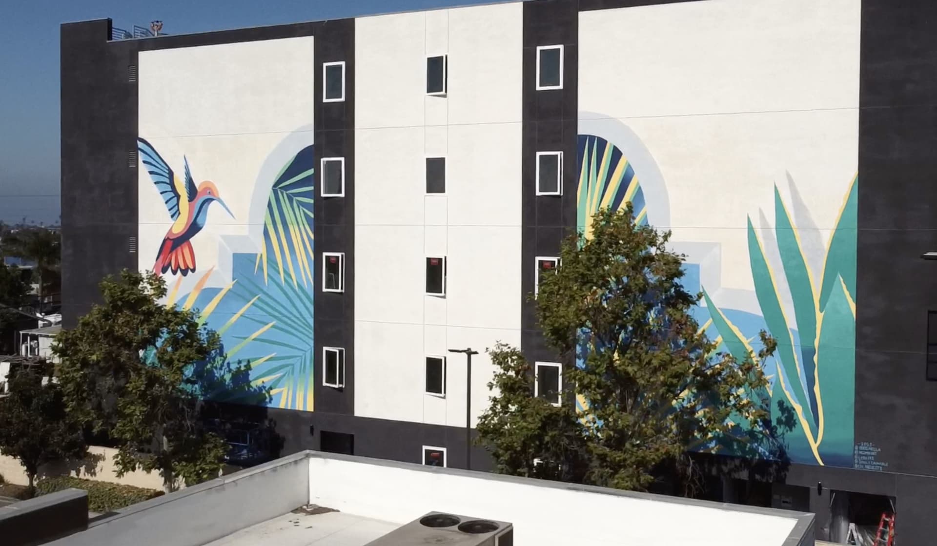 Tropical Harmony in Urban Canvas