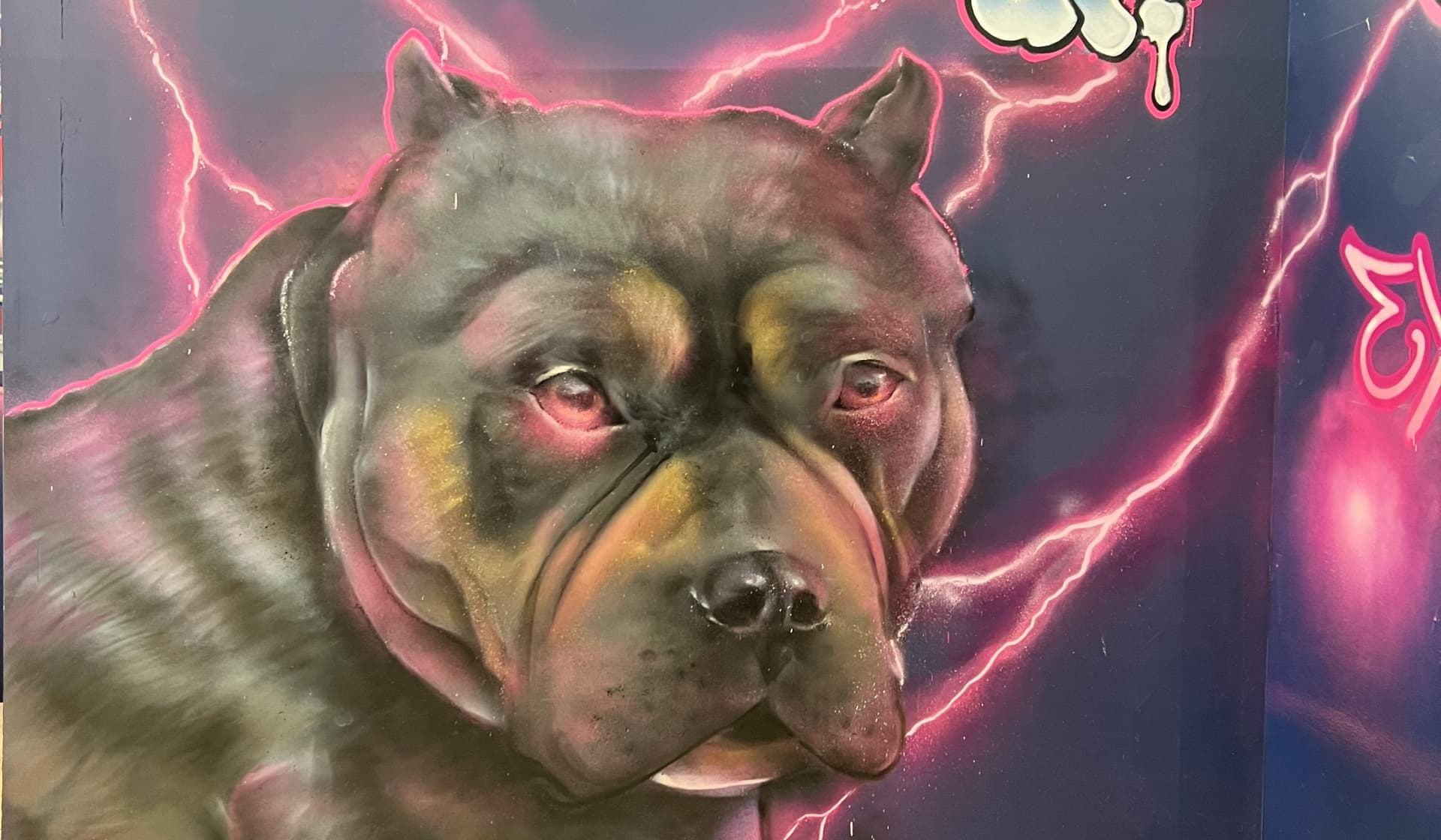 Electric Gaze of the Urban Guardian