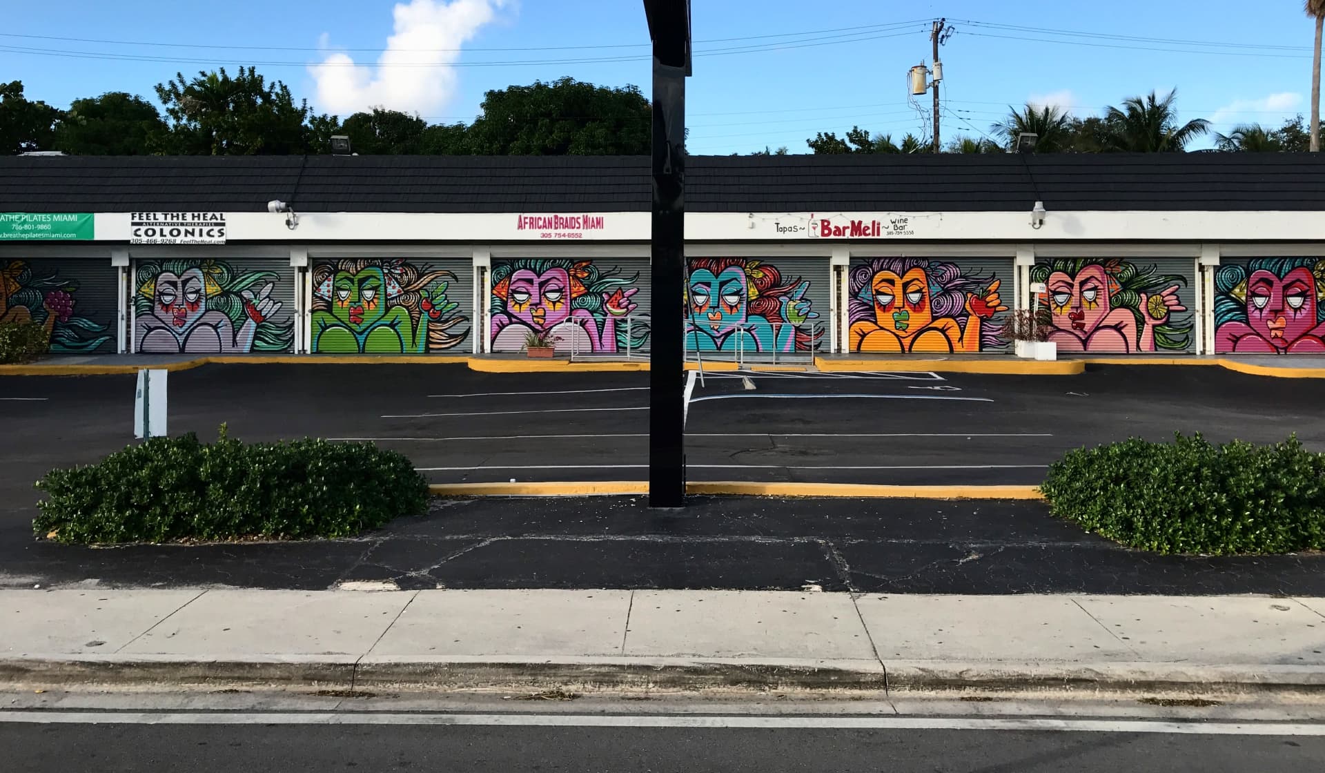 Vibrant Echoes of Miami's Urban Spirit