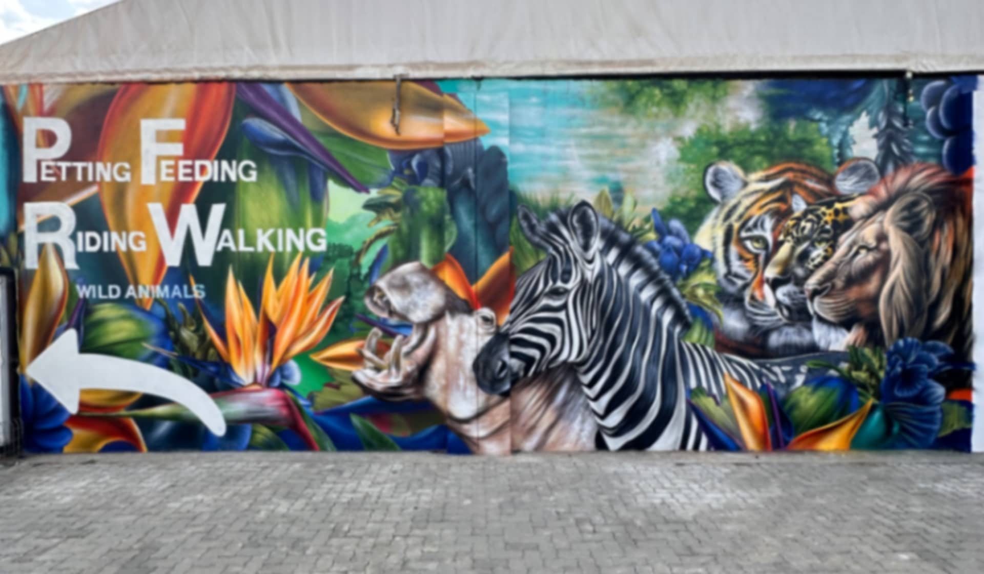 Animal Paradise
