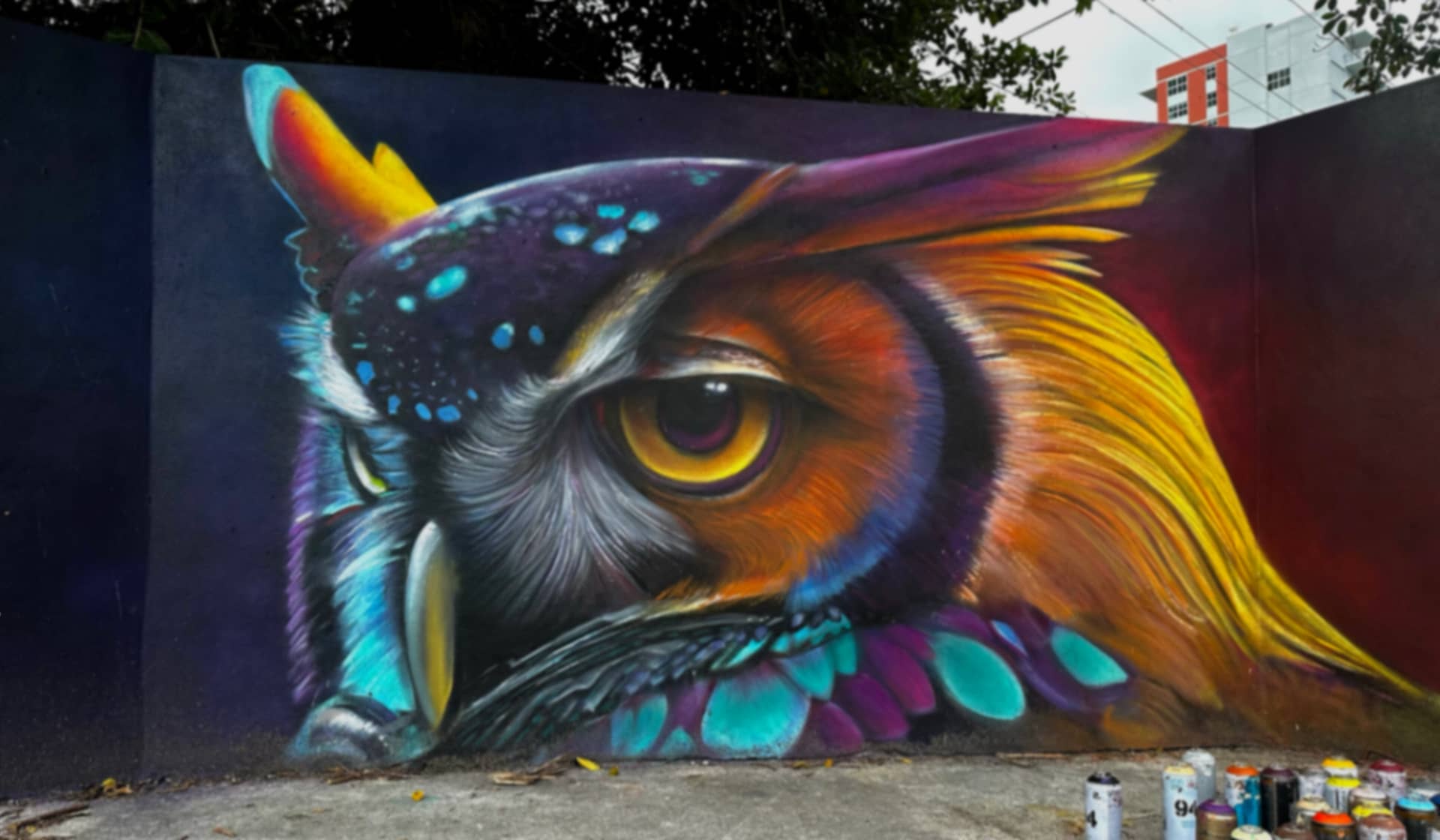 The Wise Owl