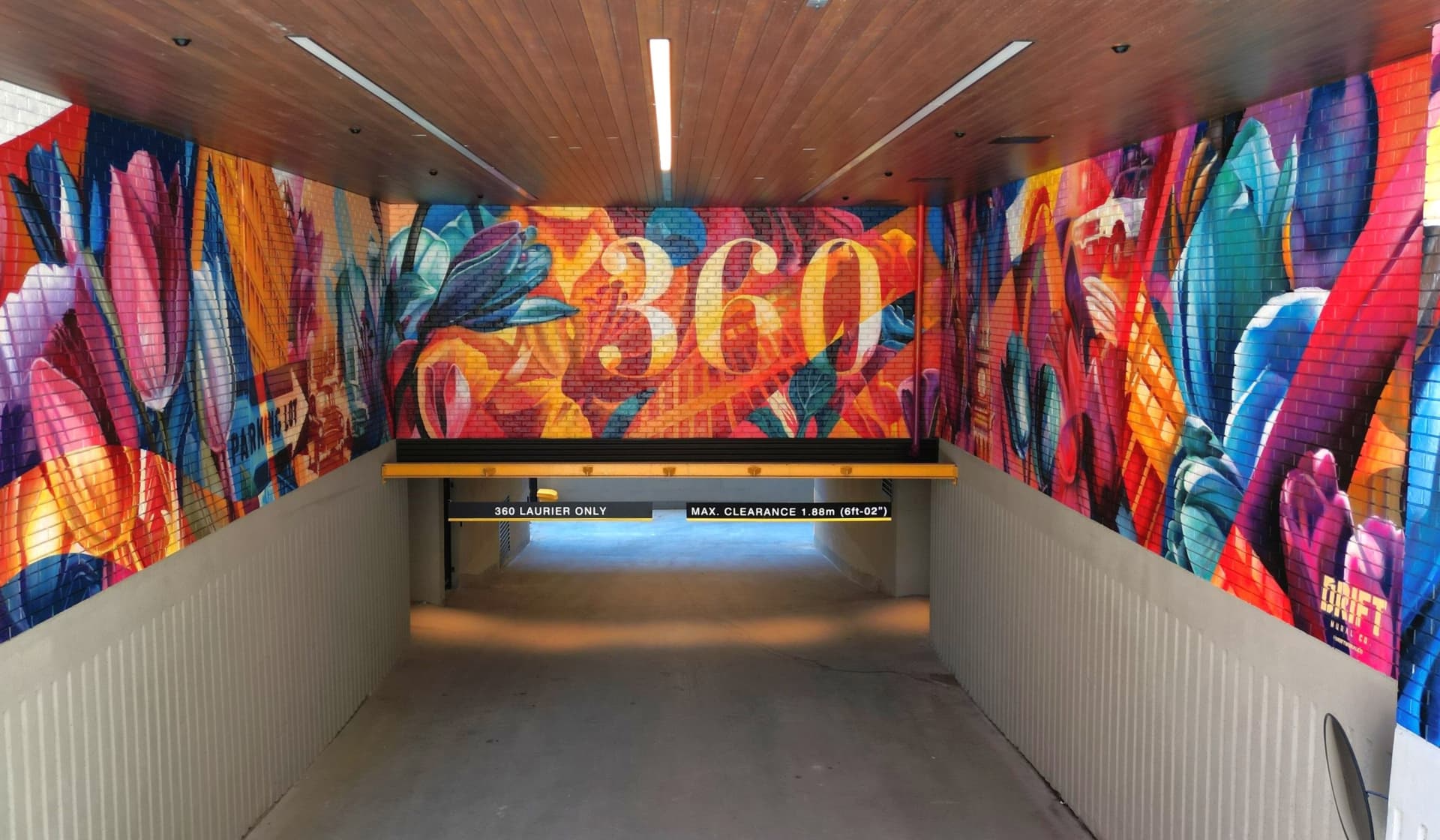 360 Laurier Immersive Color and Typography