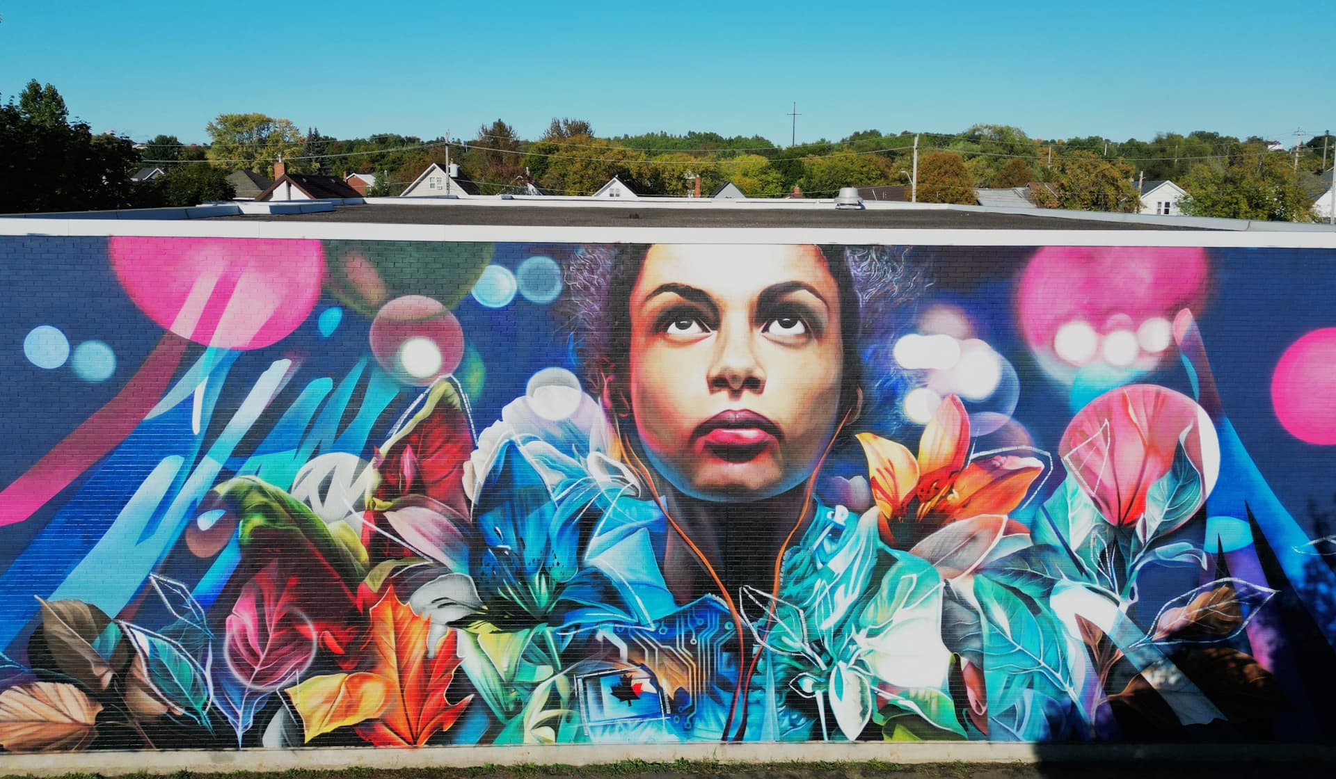 Portrait Blooming Through Light and Color