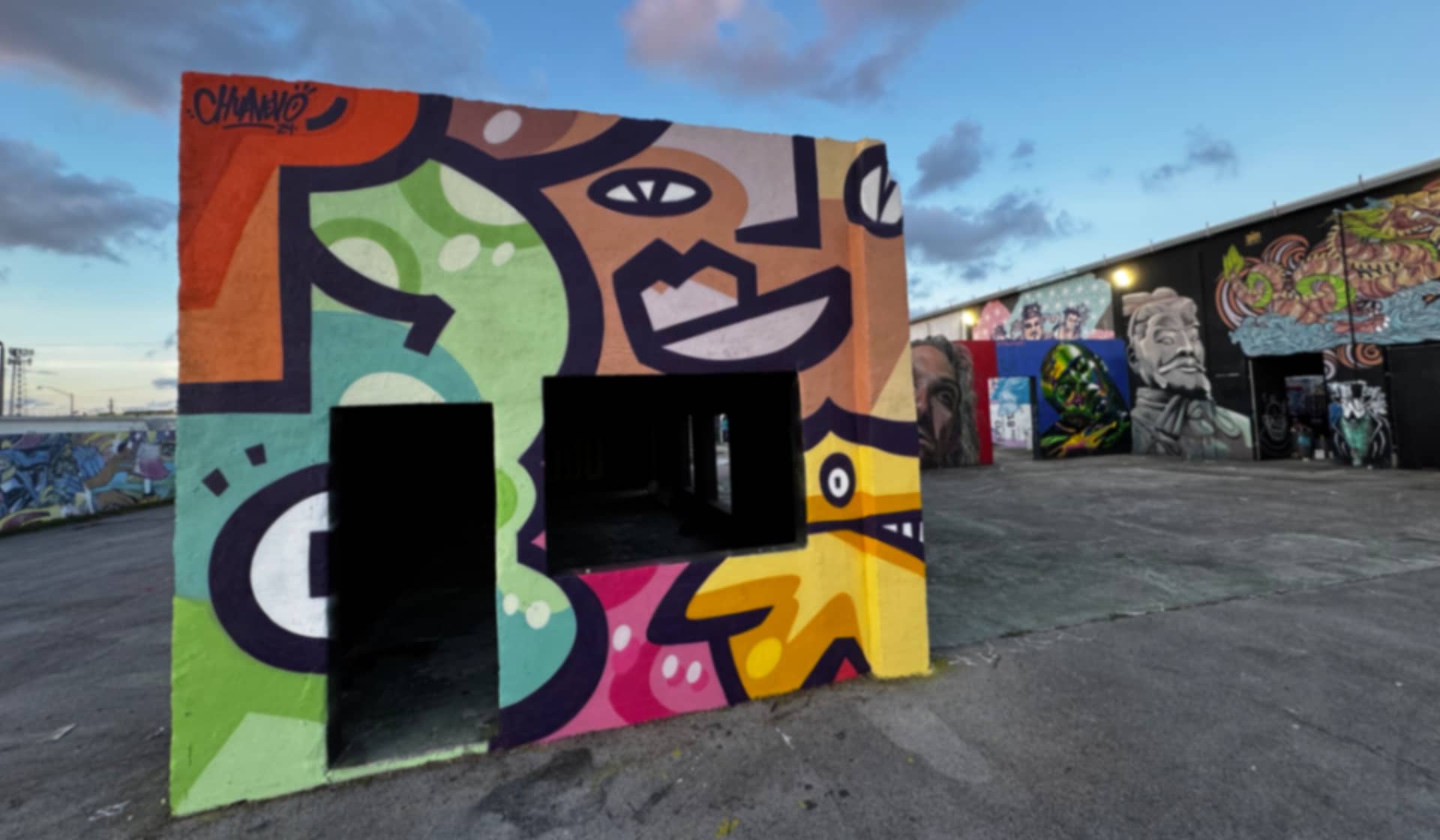 Vibrant Echoes of Urban Expression