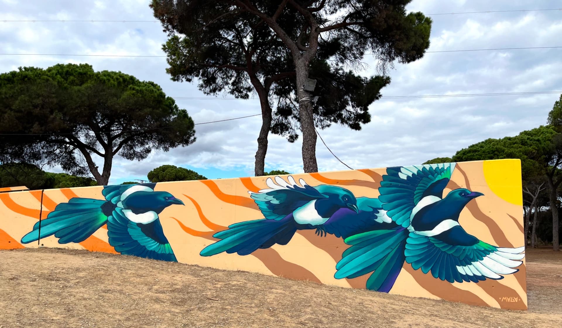 Birds (1)