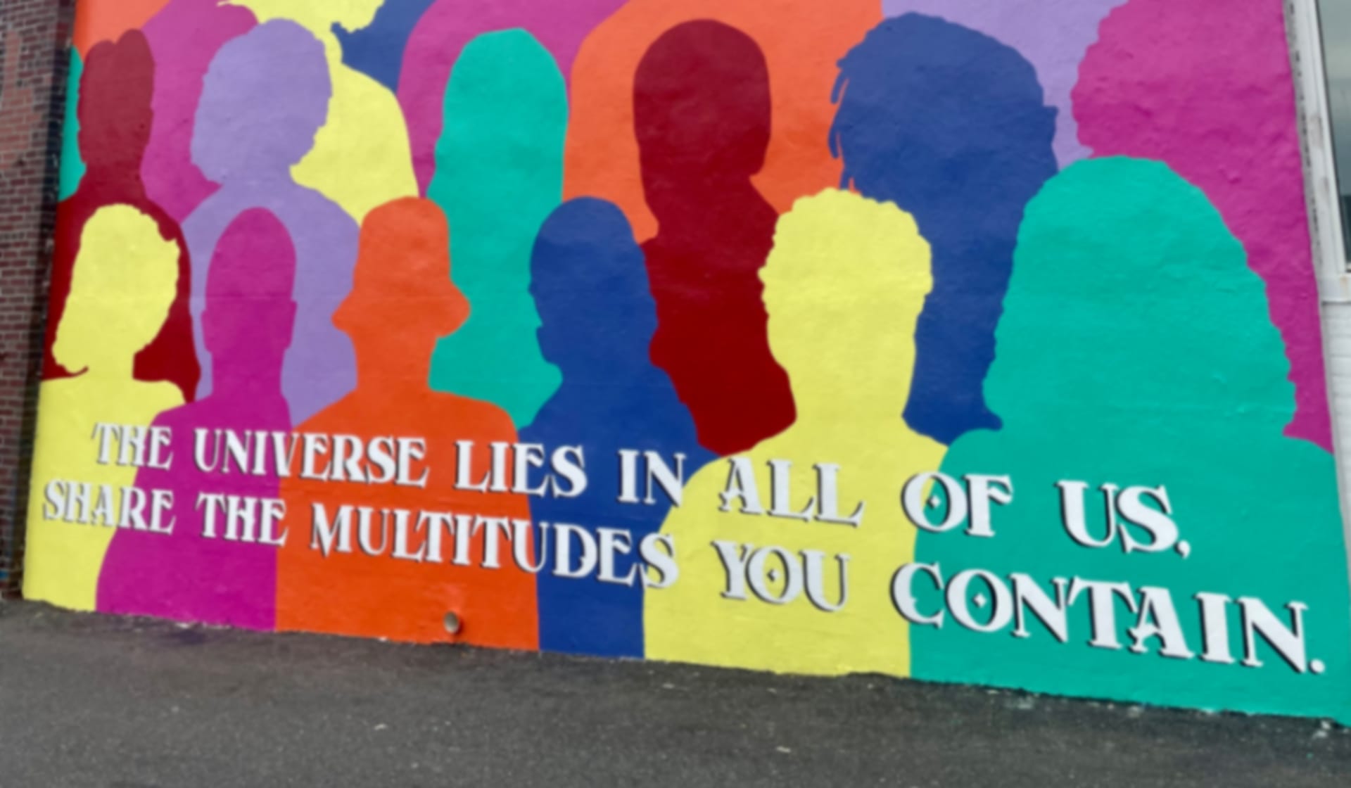 The Multitudes You Contain