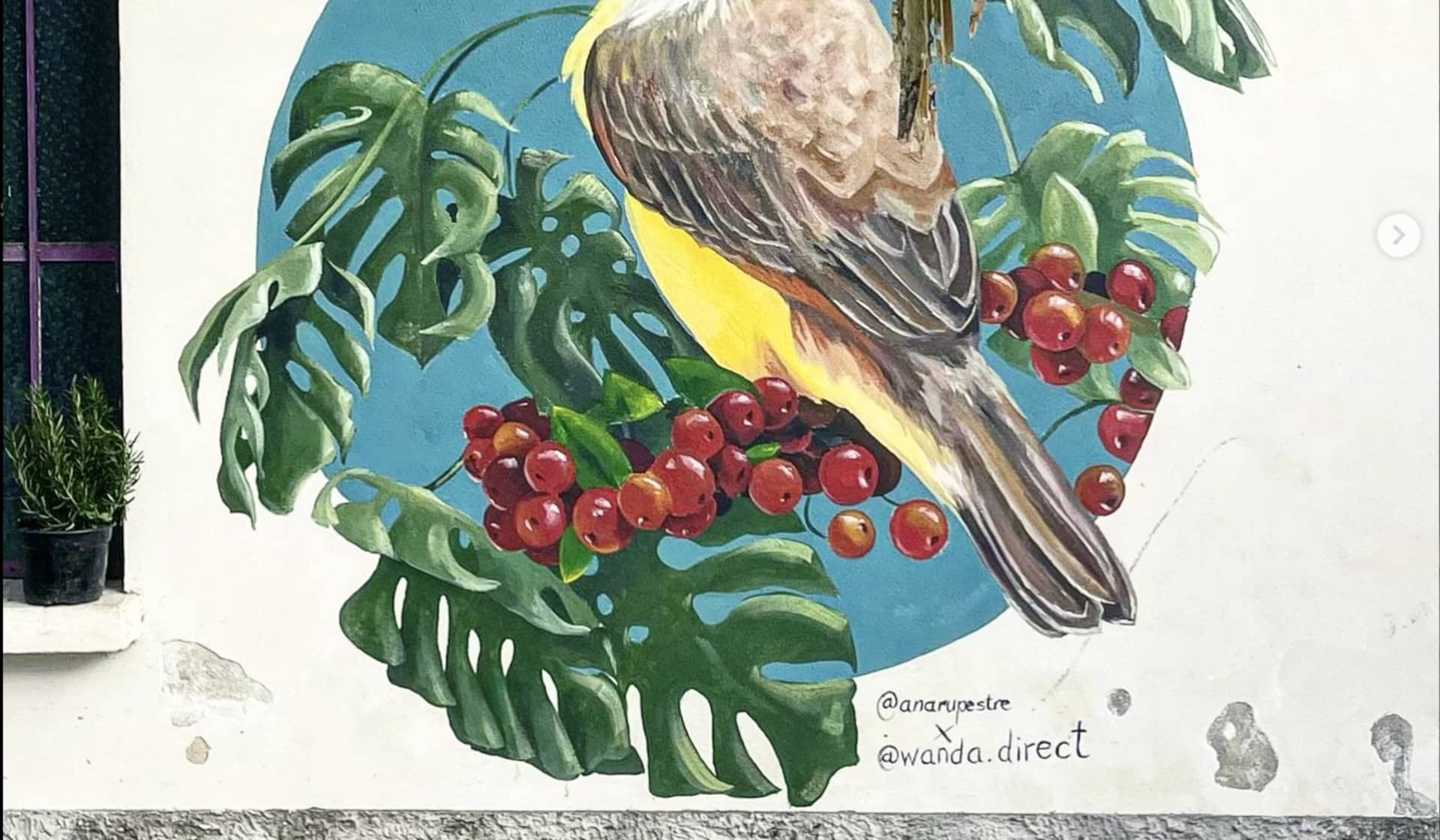 birdwatching