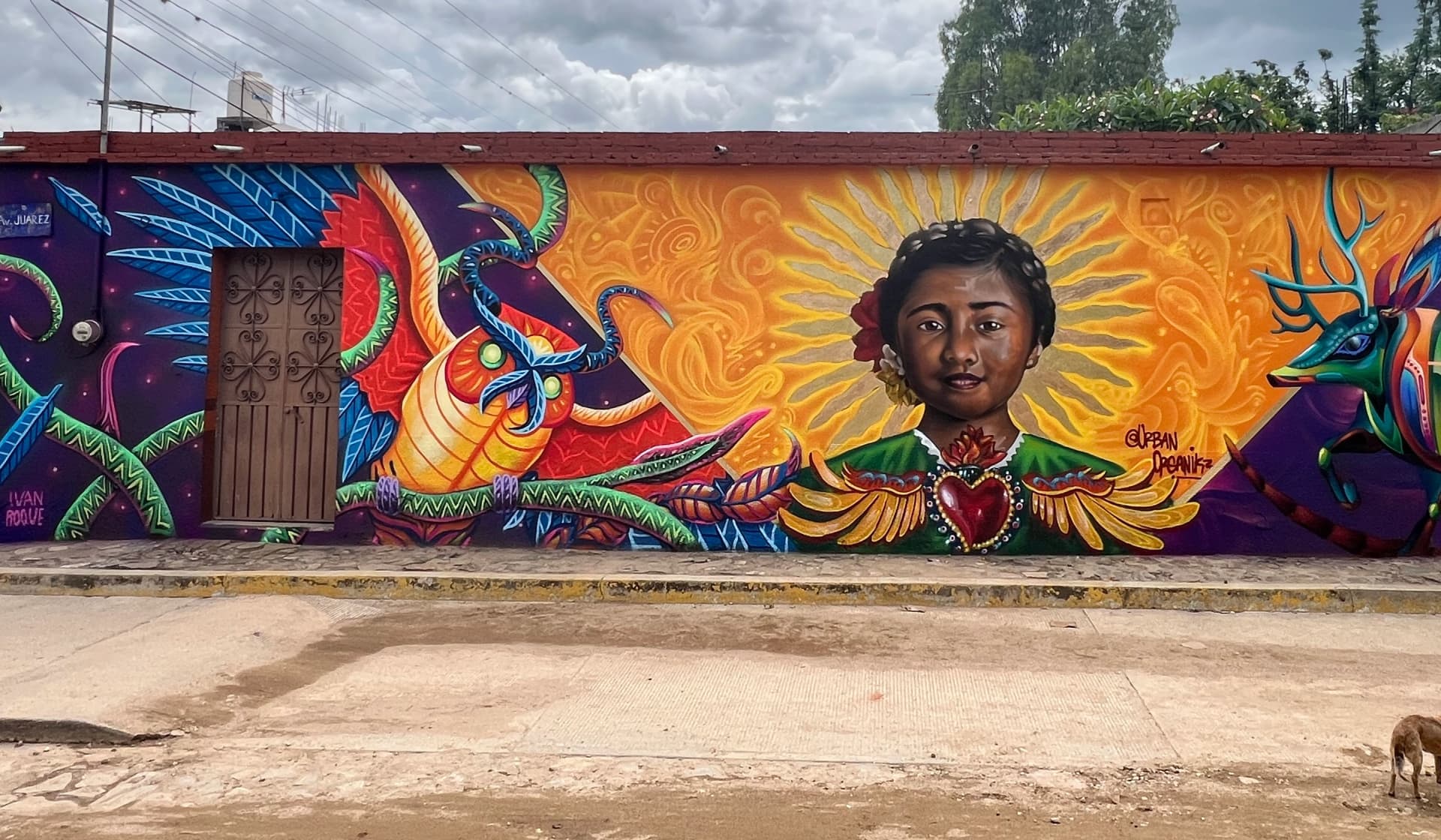 Sombra y Sol (artist residence in Mexico)