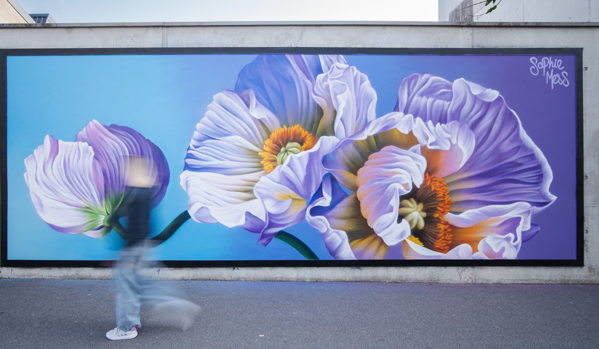 Whispers of Bloom in Urban Serenity