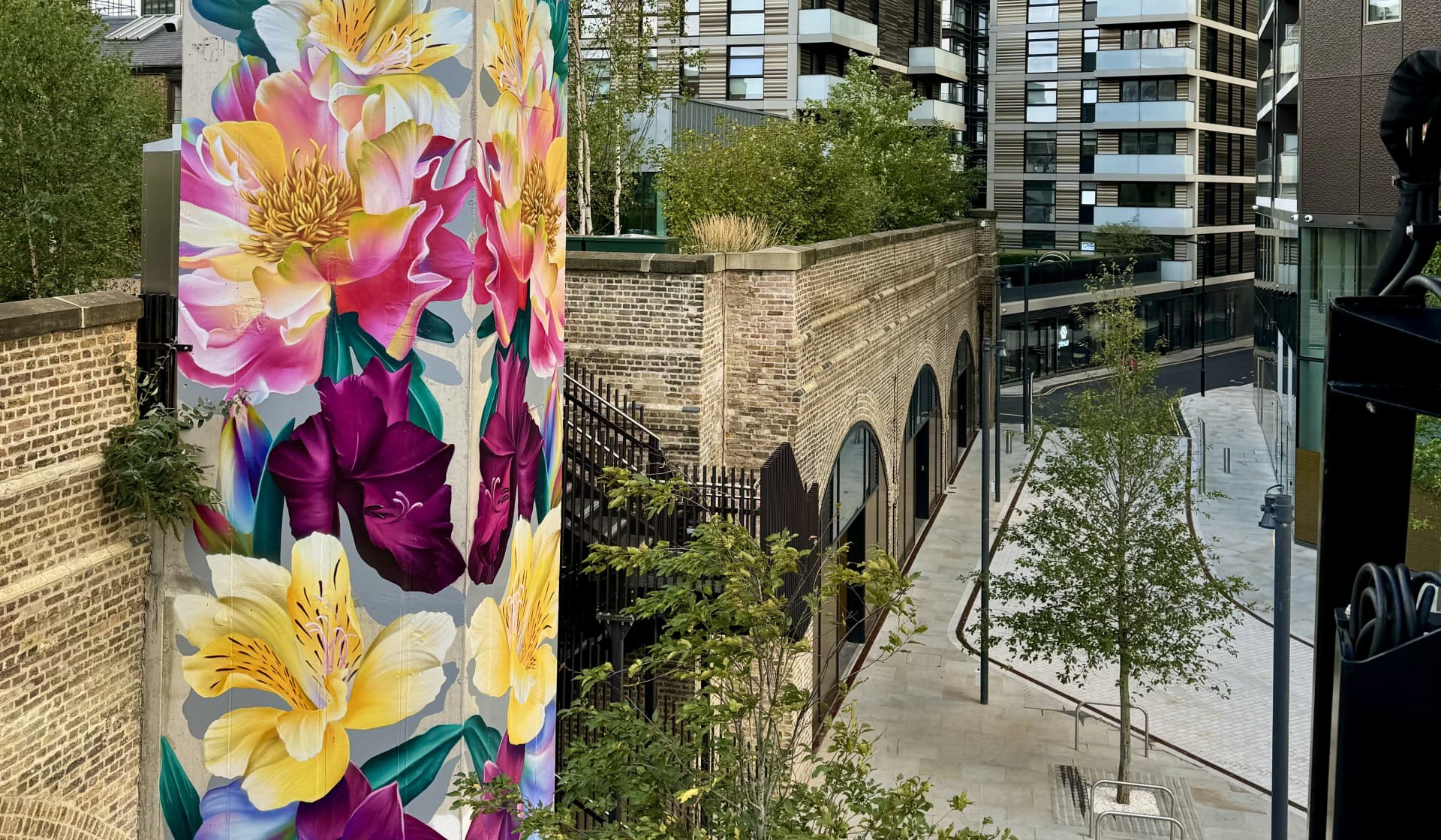 Urban Blooms: Nature's Palette in Concrete Jungle