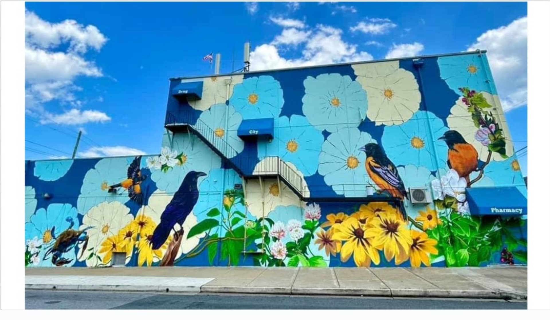 "Garden Mural" with Rowan Bathurst