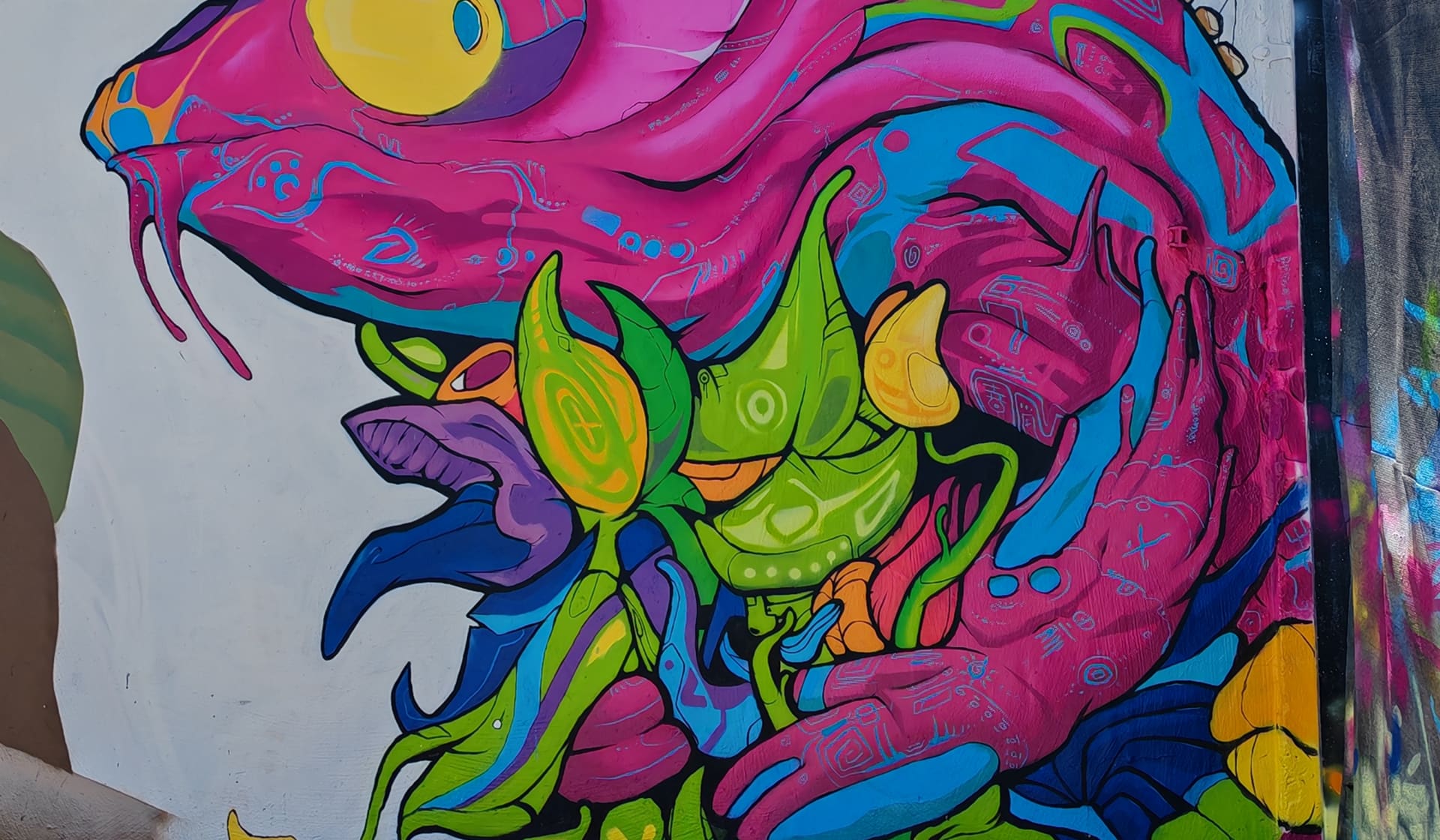 chameleon