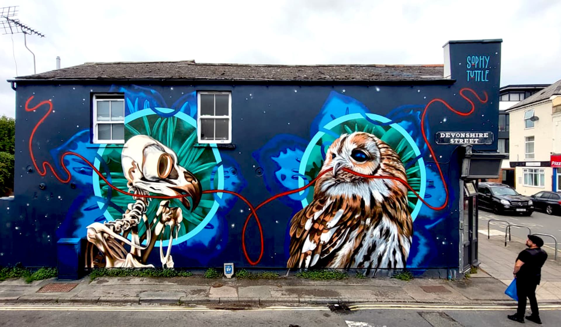 Space Owls