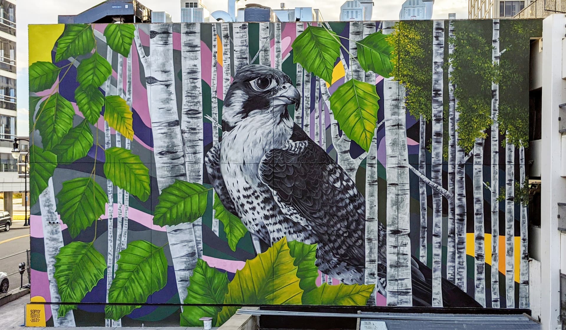 Peregrine