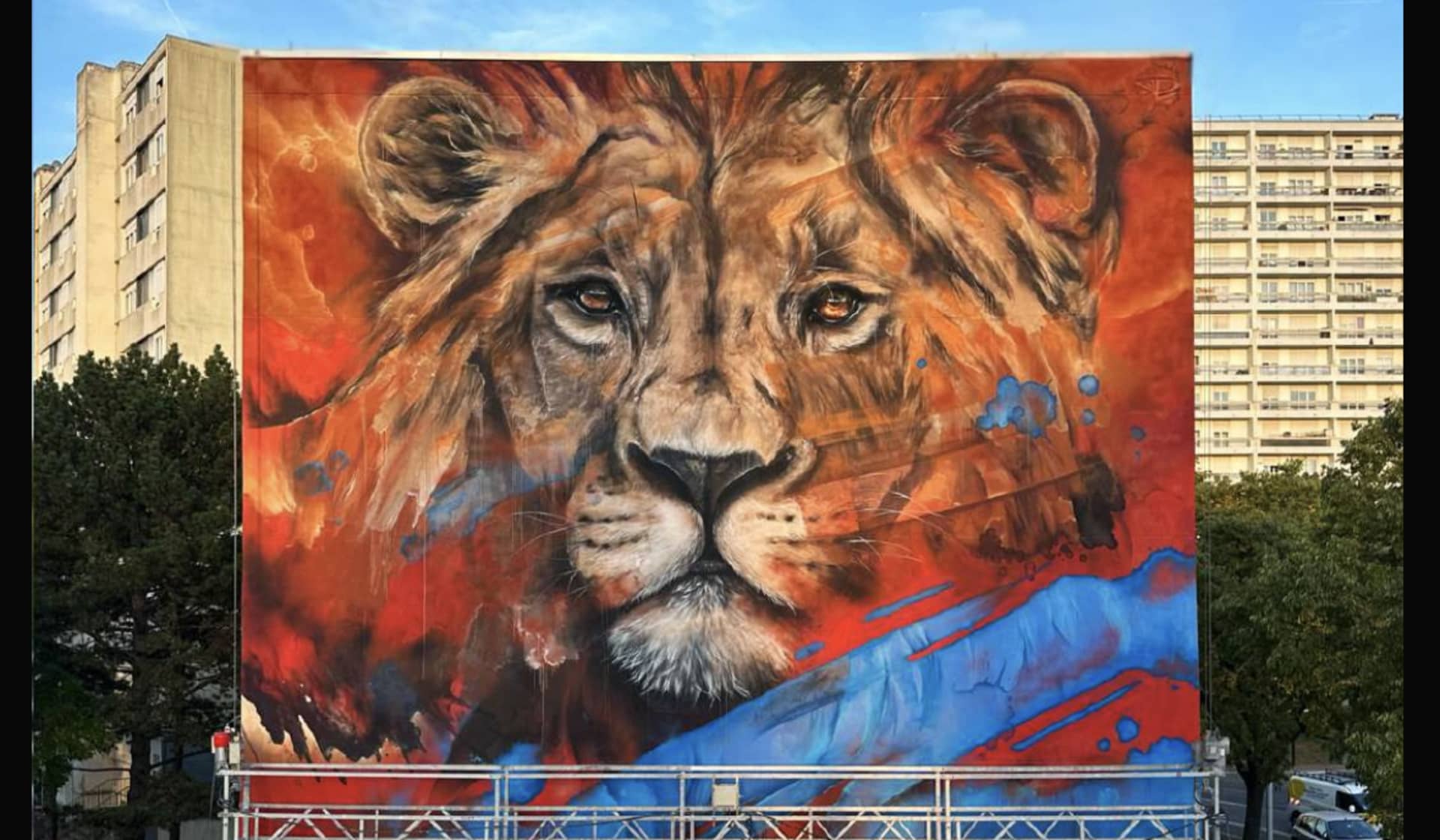 Majesty in Color: The Lion's Gaze