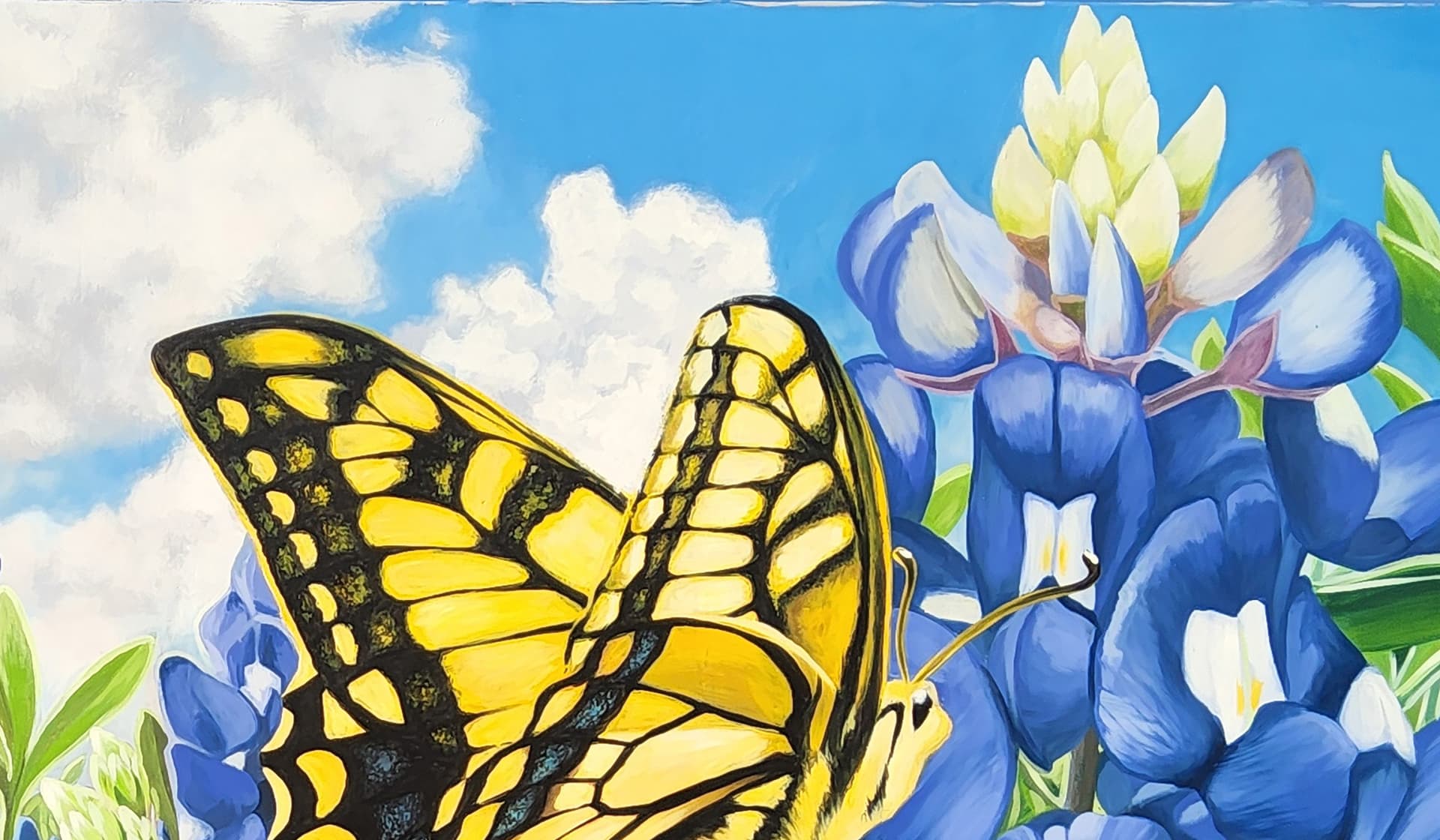 Texas spring detail