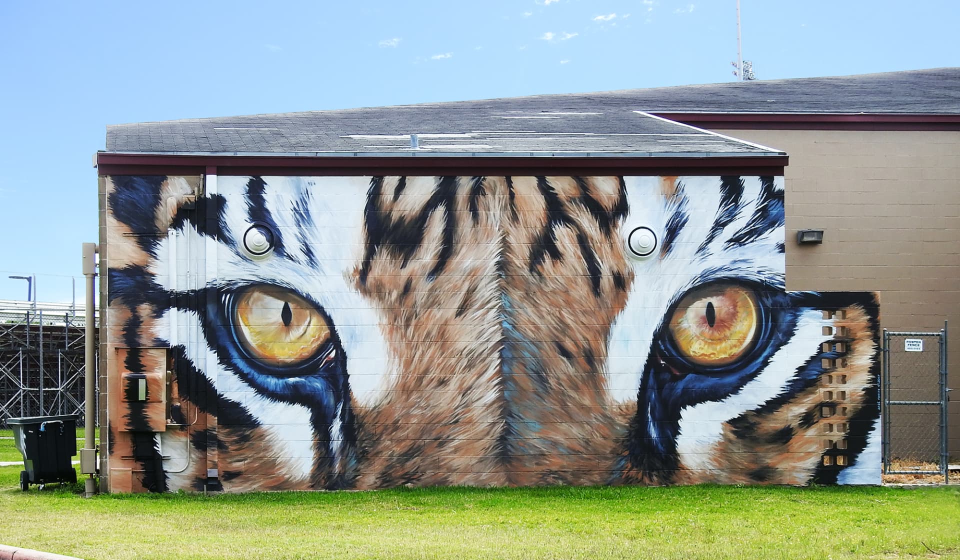 Eyes of the tiger