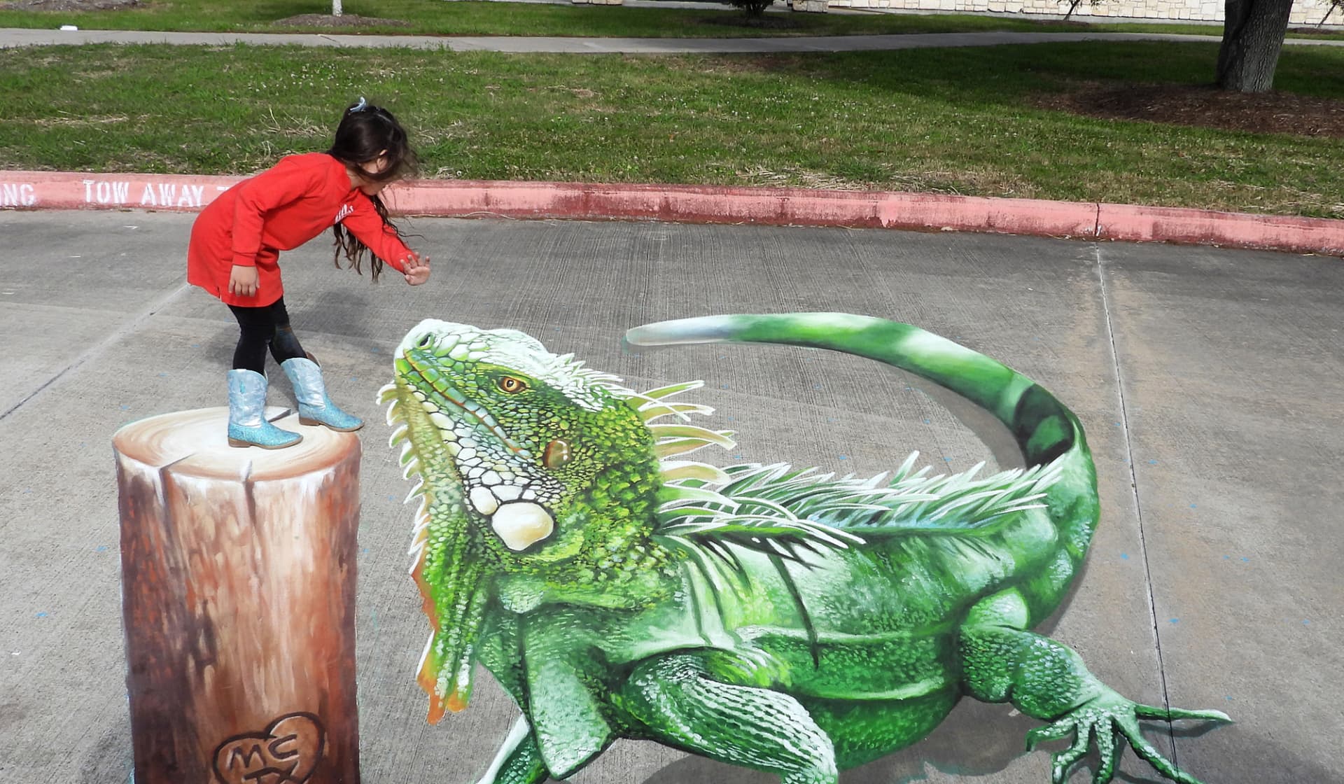 The iguana