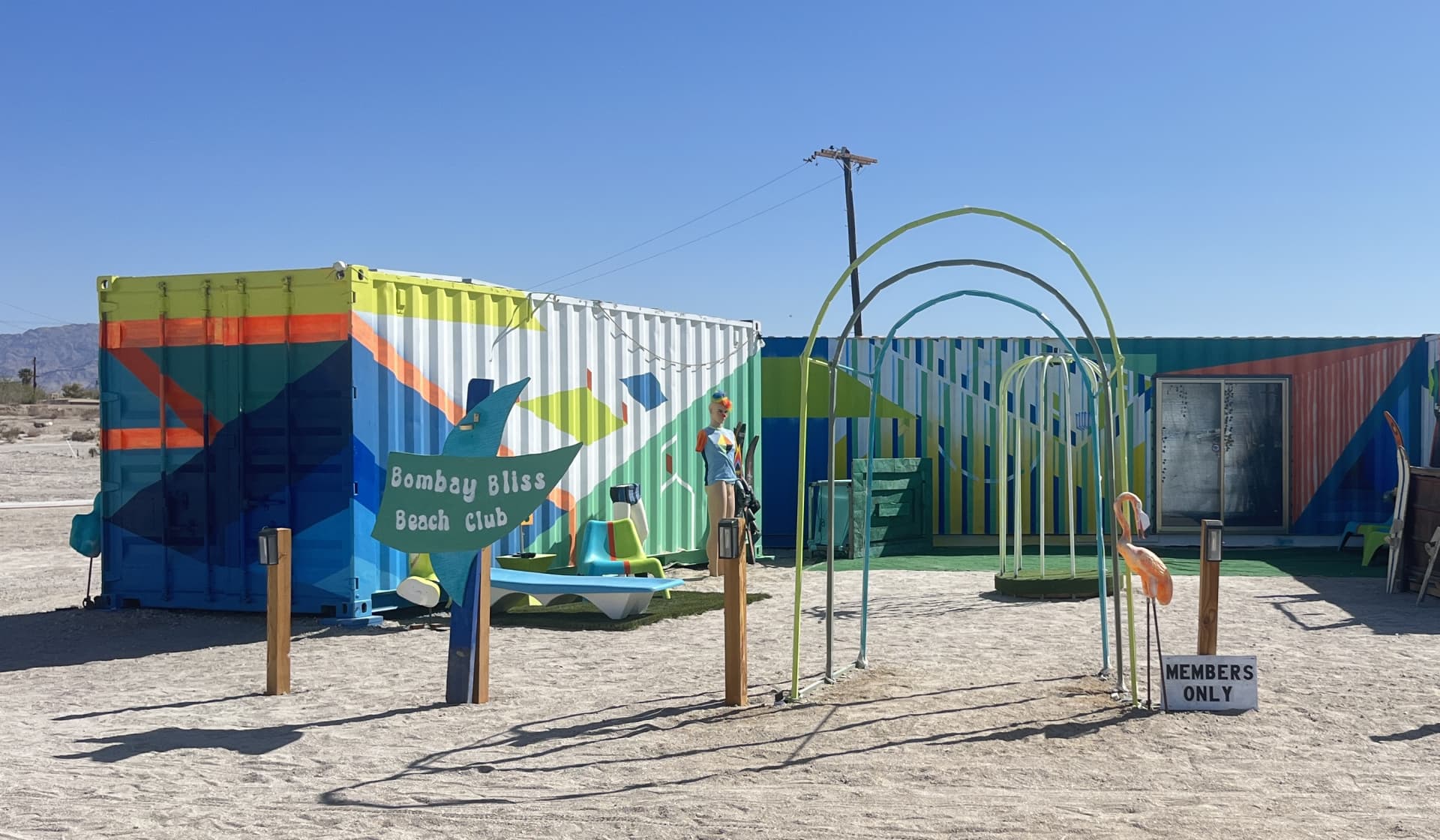 Desert Oasis of Colorful Connection