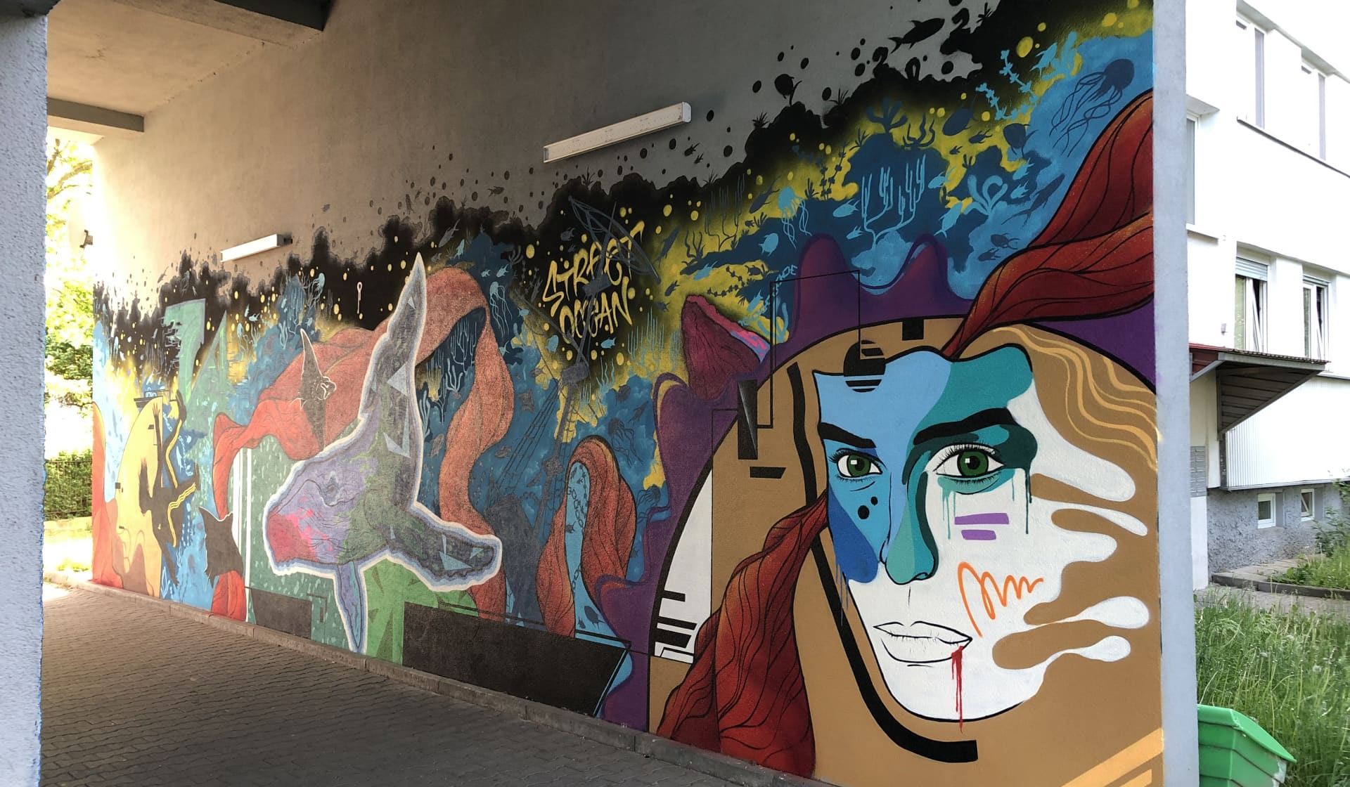 Visions of Identity and Transformation