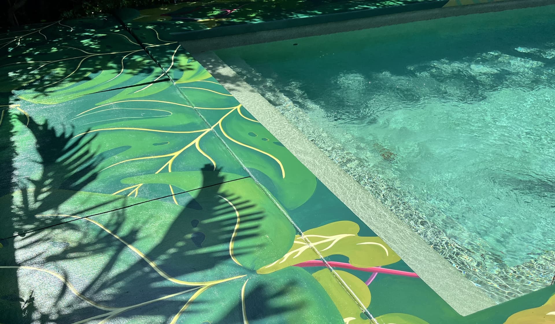Whispers of Nature Beneath Sunlit Waters