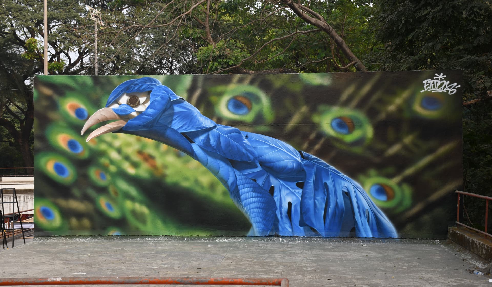 Blue Majesty Against Feathered Whirl