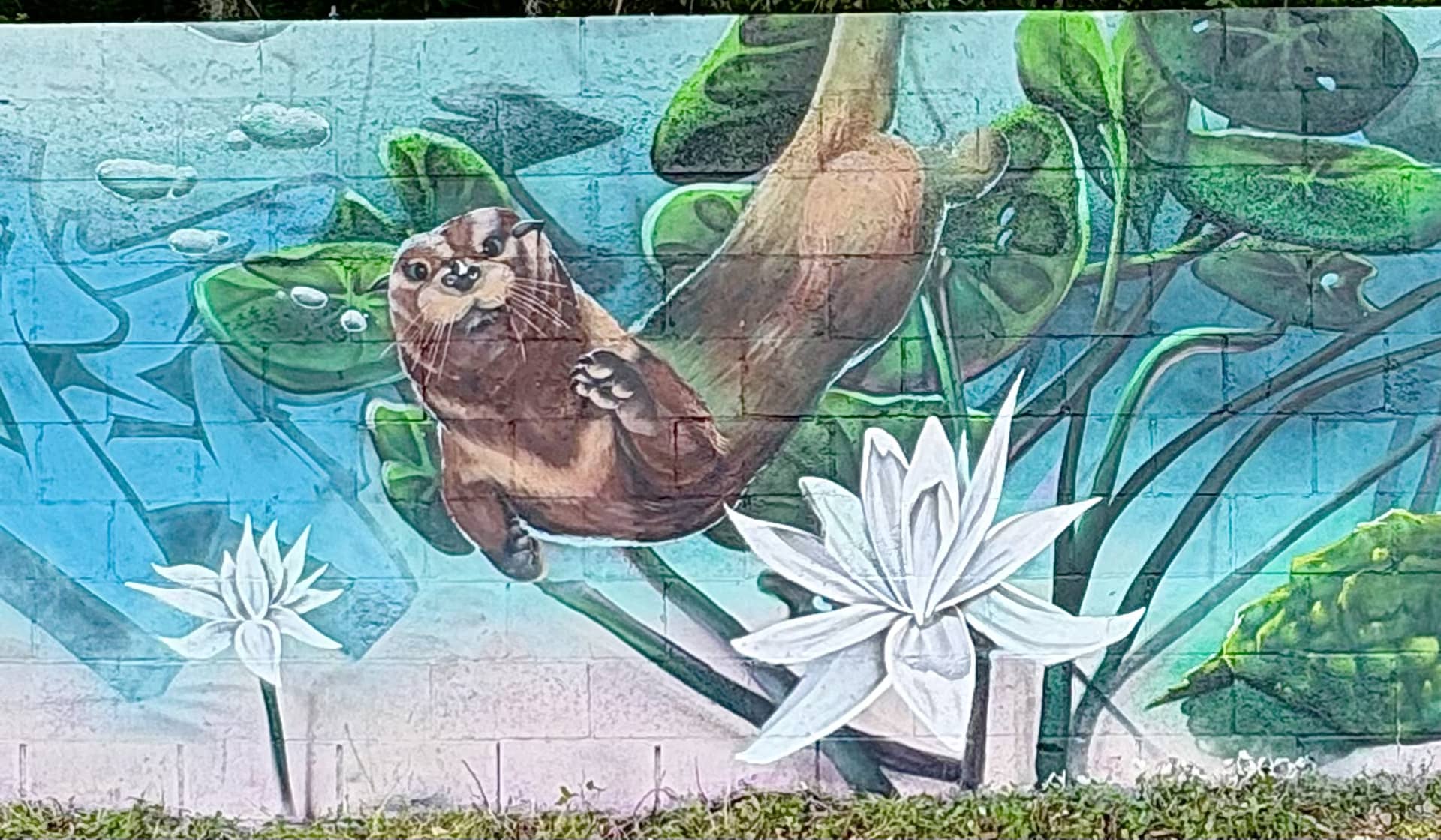 Otter's Journey Through Lily-Pad Waters