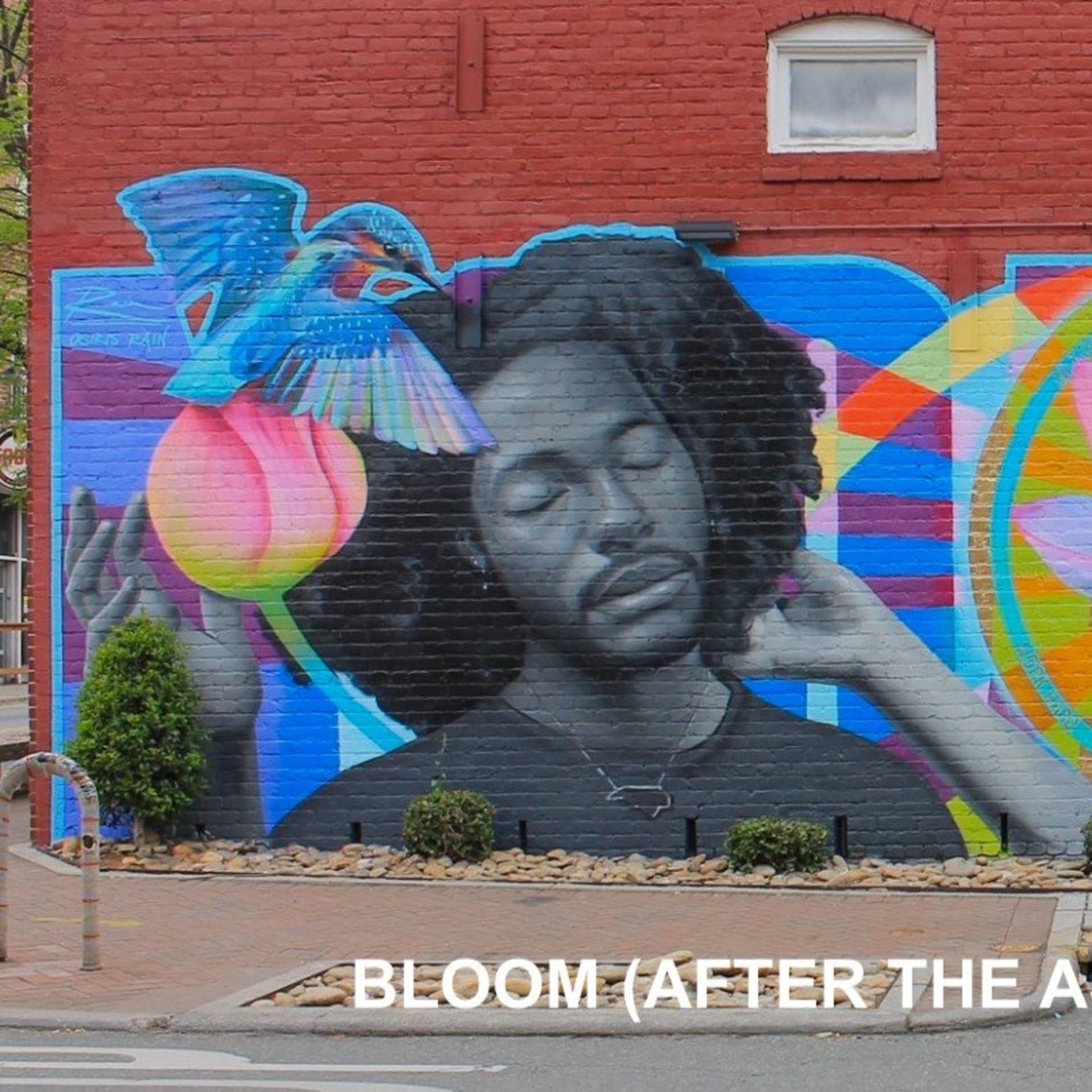 Bloom detail