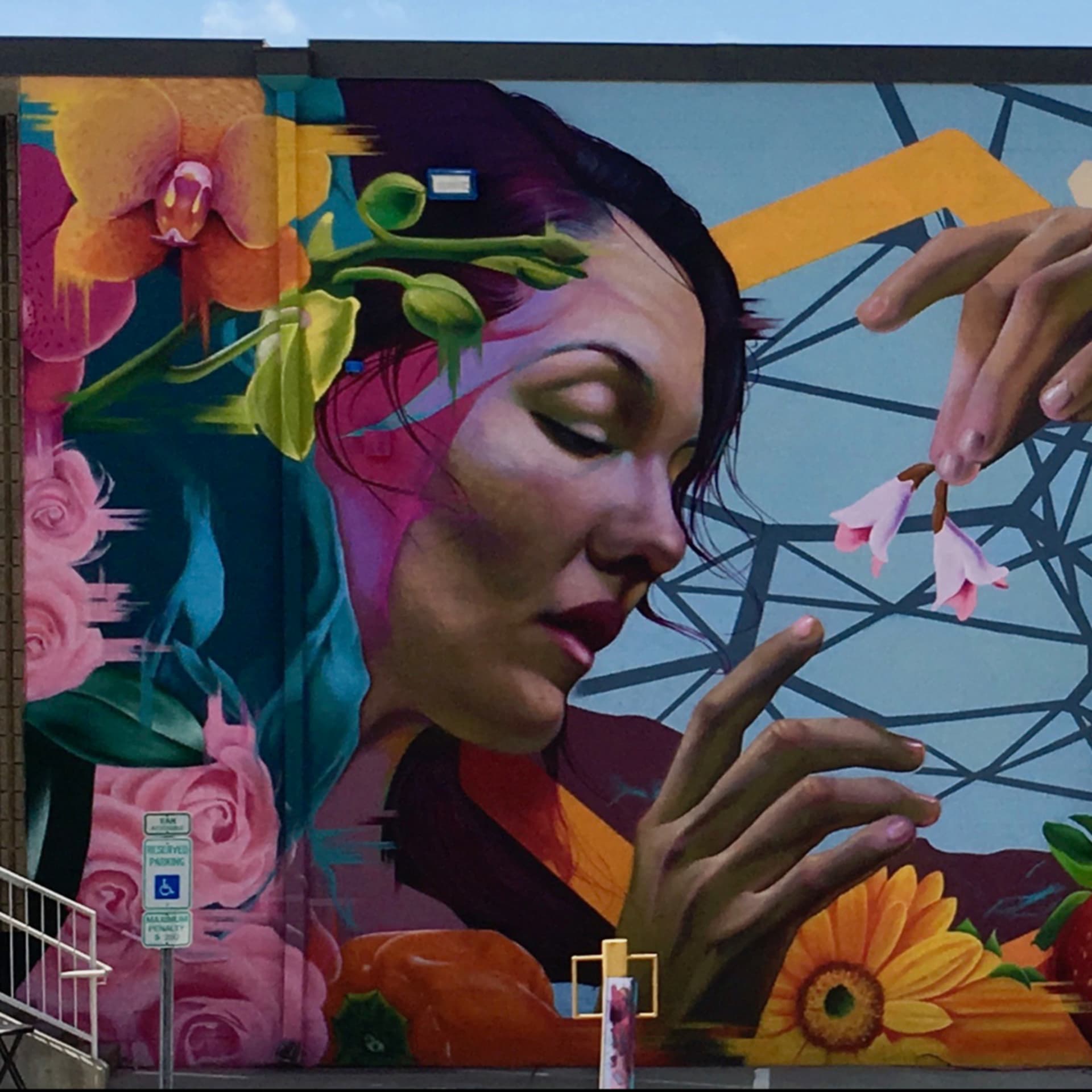 Flourish detail