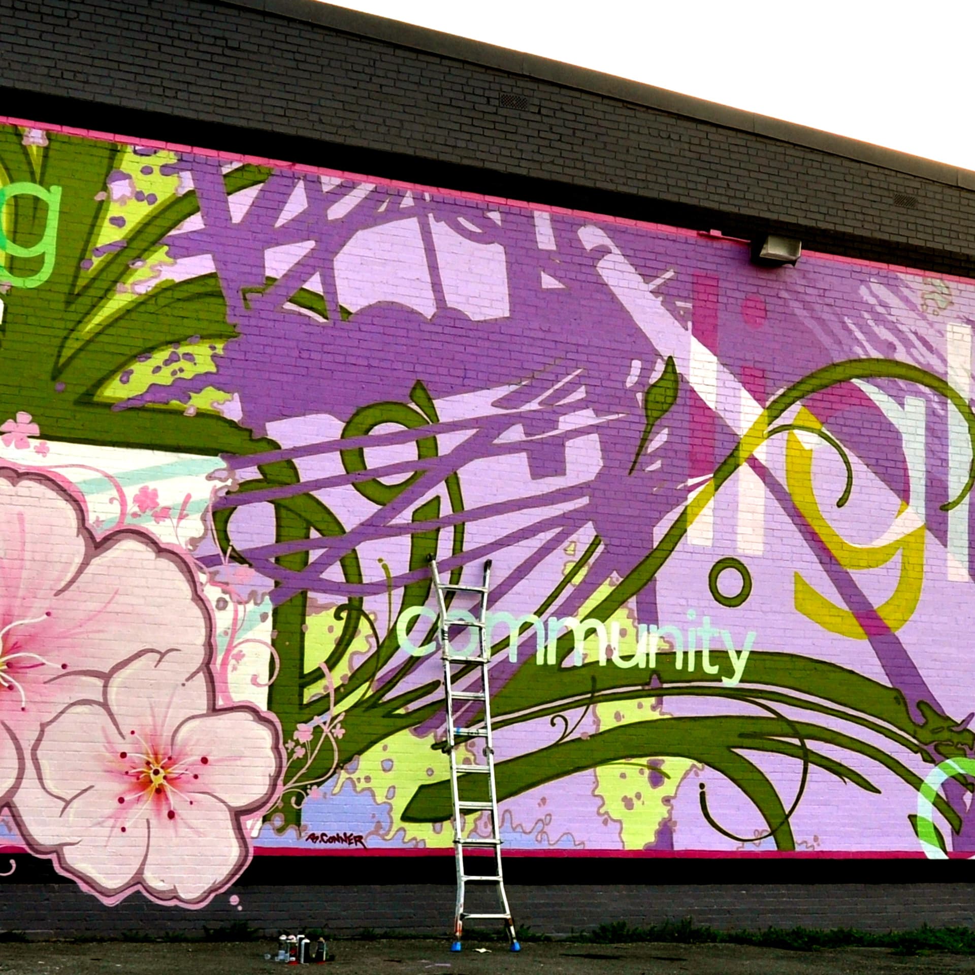 Murals DC detail