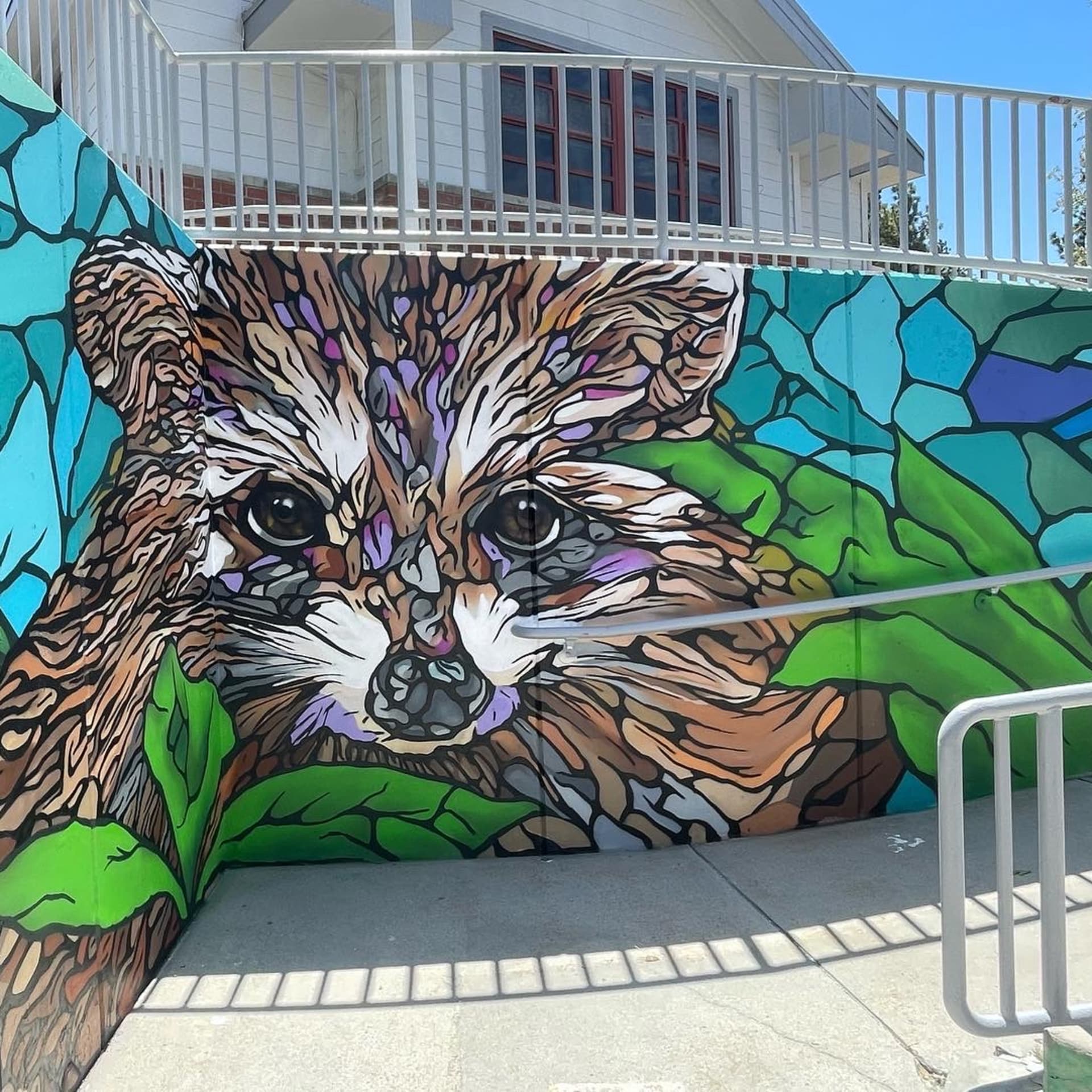 Rocky Raccoon  detail