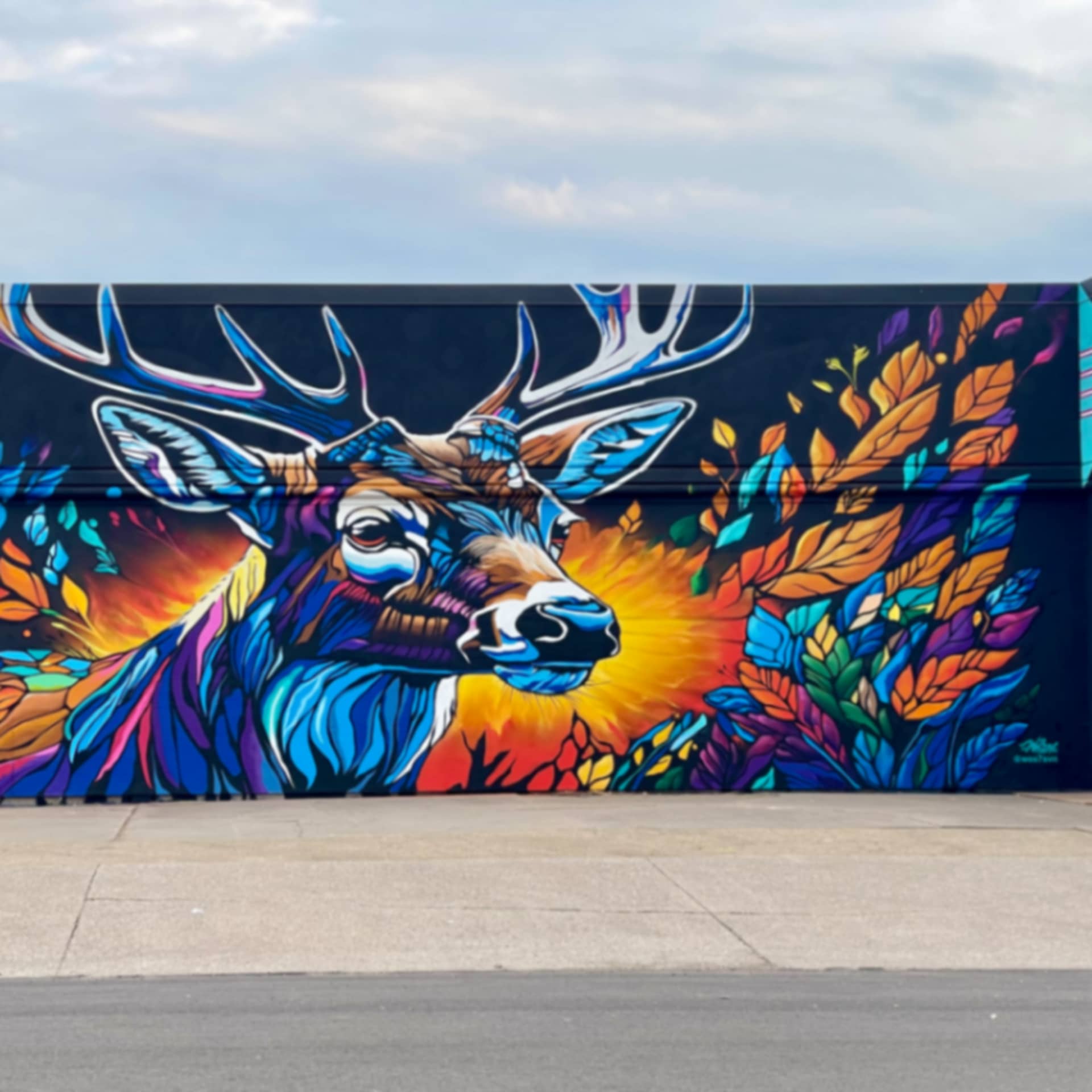 White Tail Deer  detail