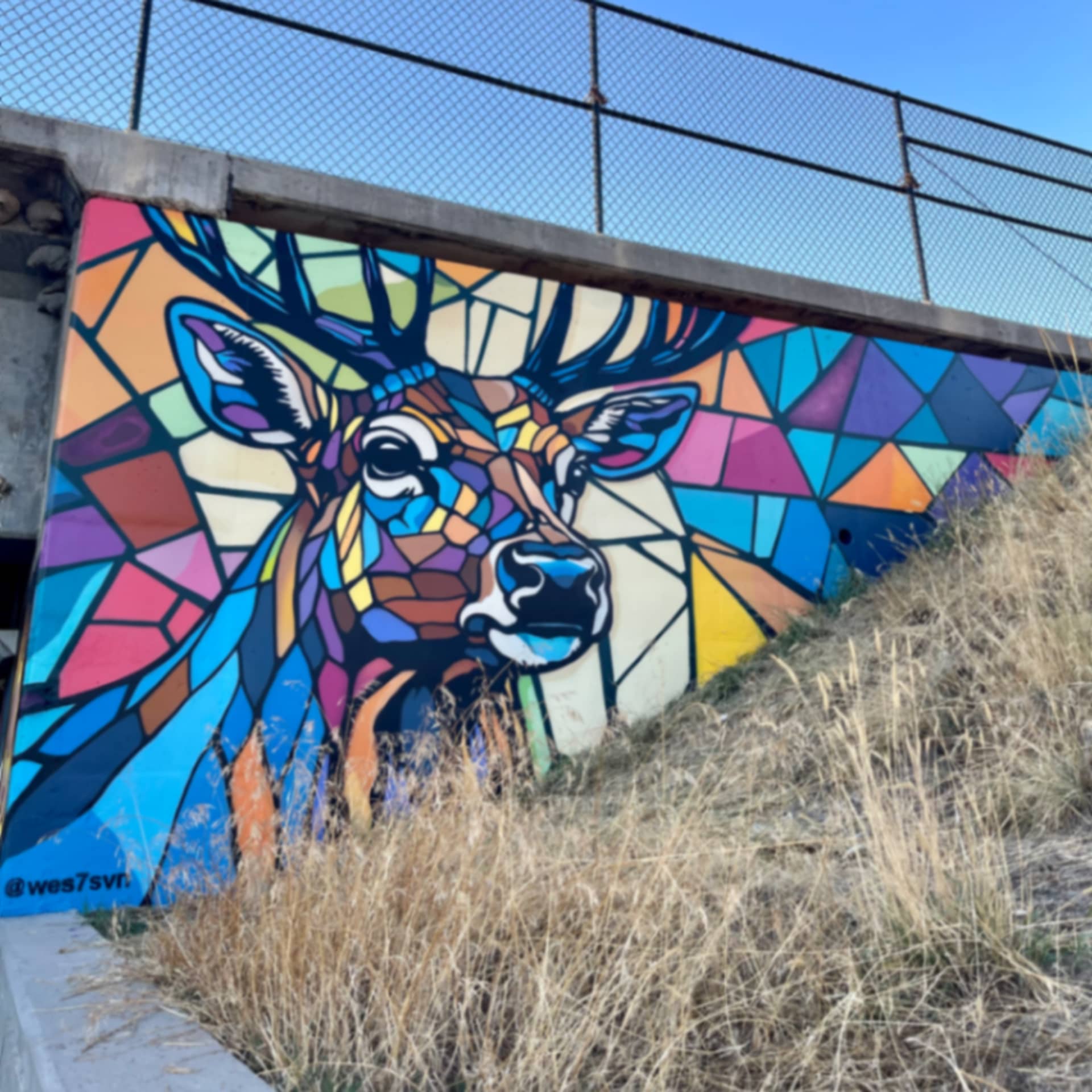 Jordan River Buck  detail
