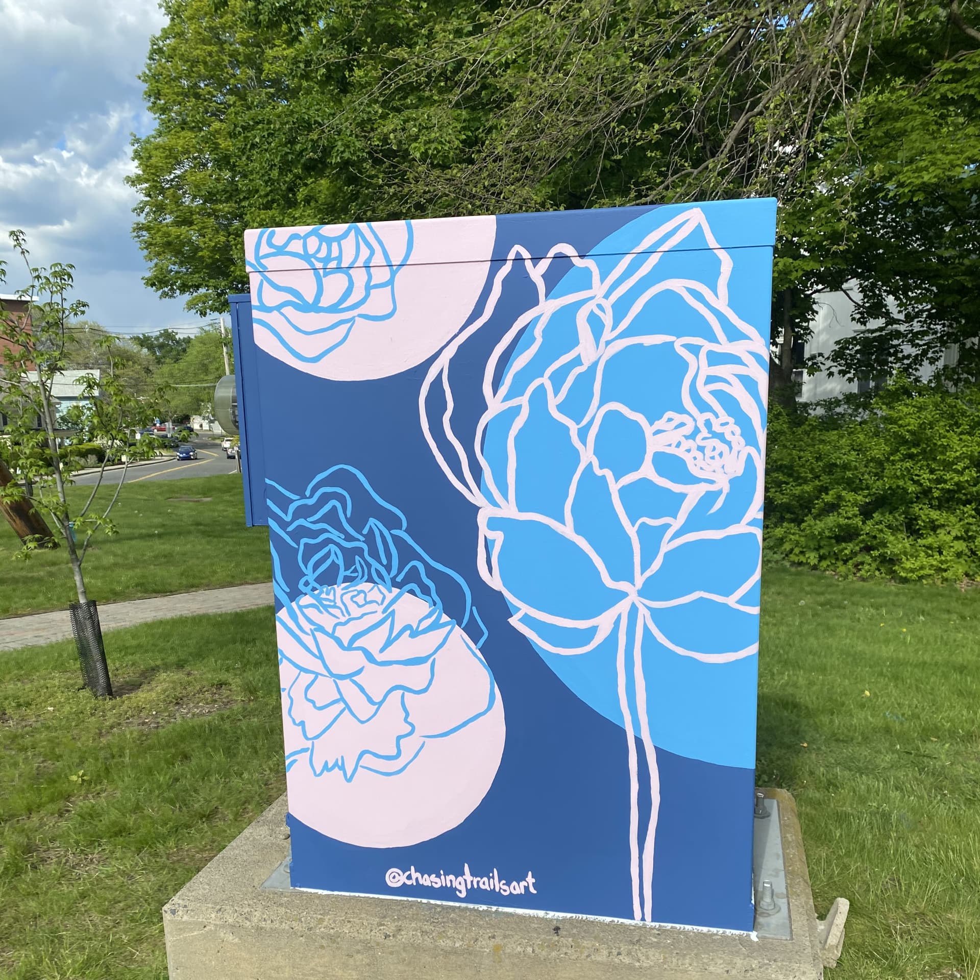 Peony Electricity Box detail
