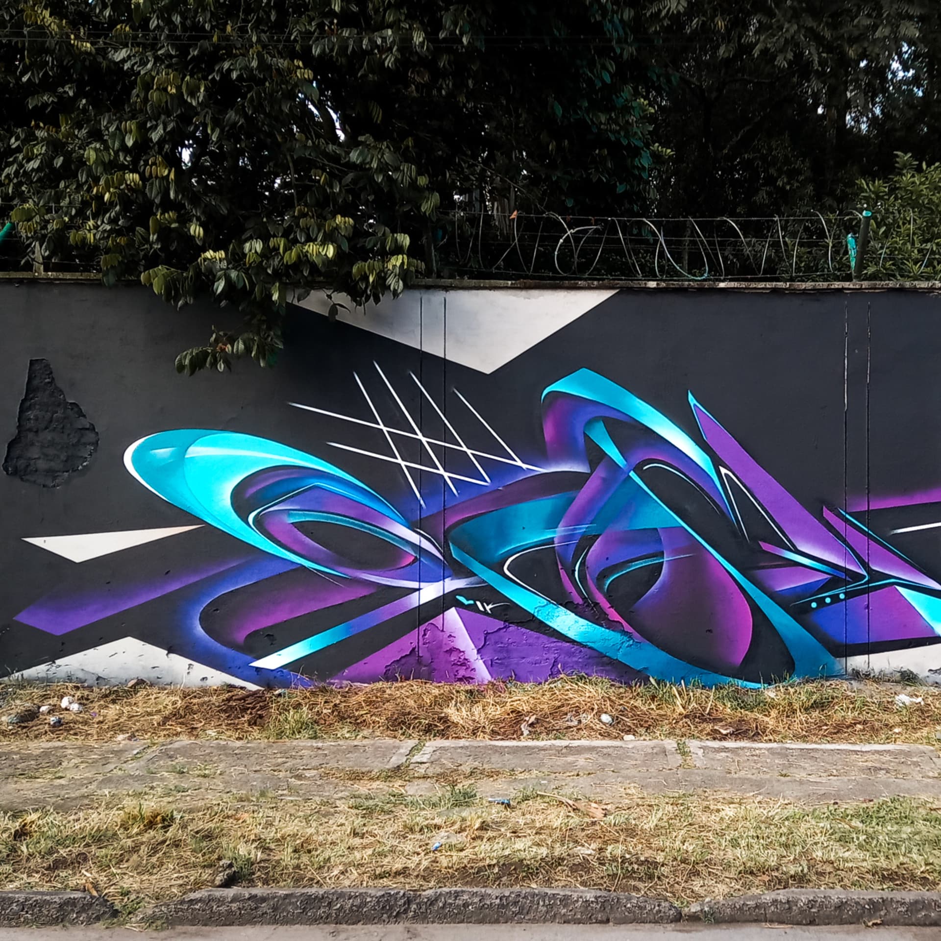 Fluid Dynamics of Color and Form detail