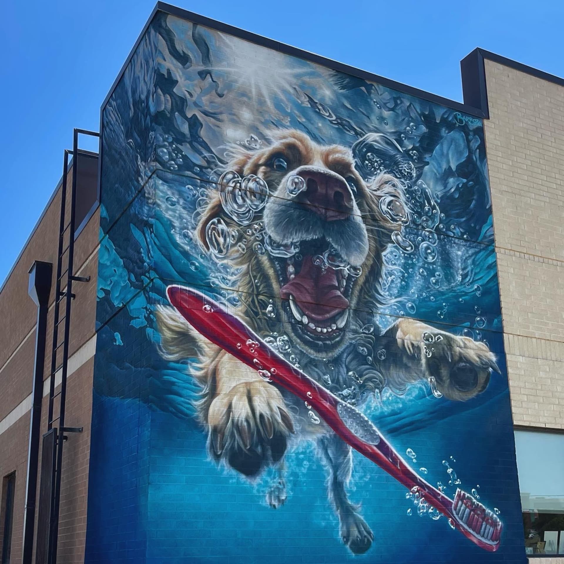 Joyful Splash of Canine Whimsy detail