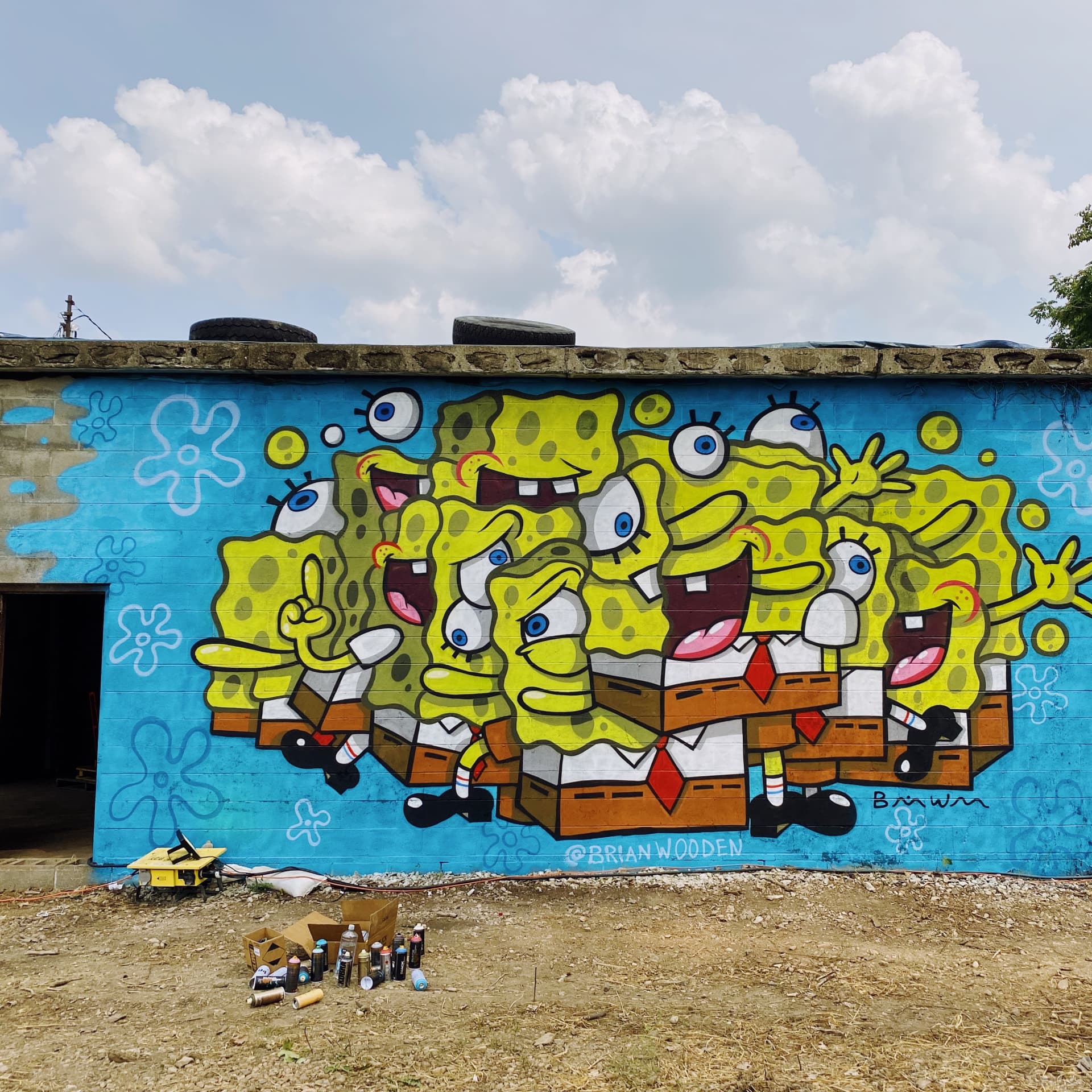 Cartoon Sponge detail