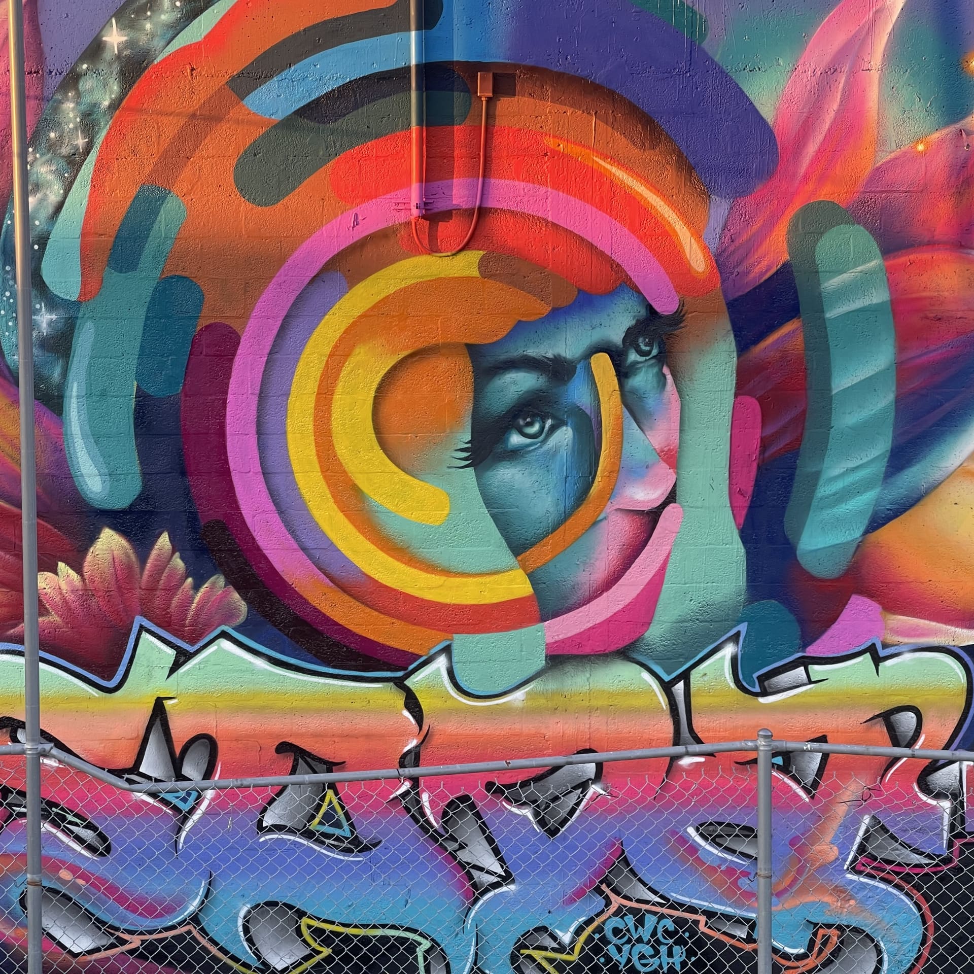 Collab: Whitney Holbourn x DreamWeaver detail
