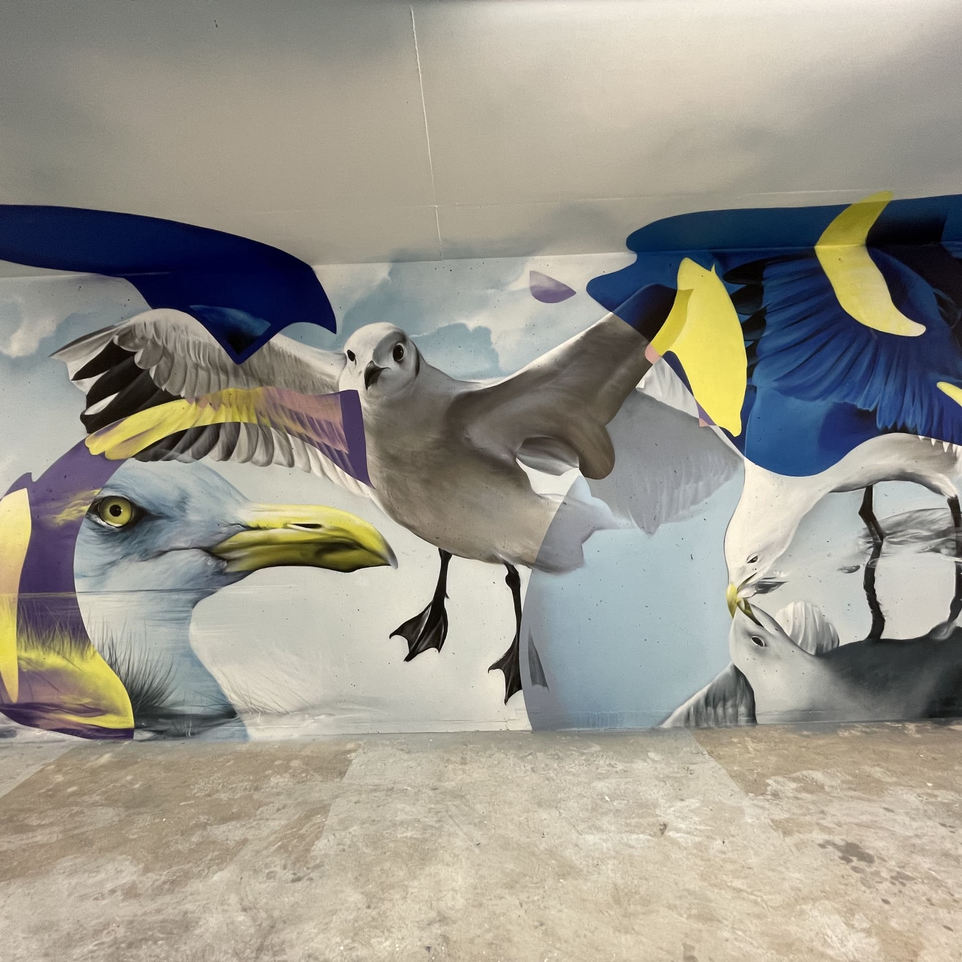 Jonathan Livingston seagull detail