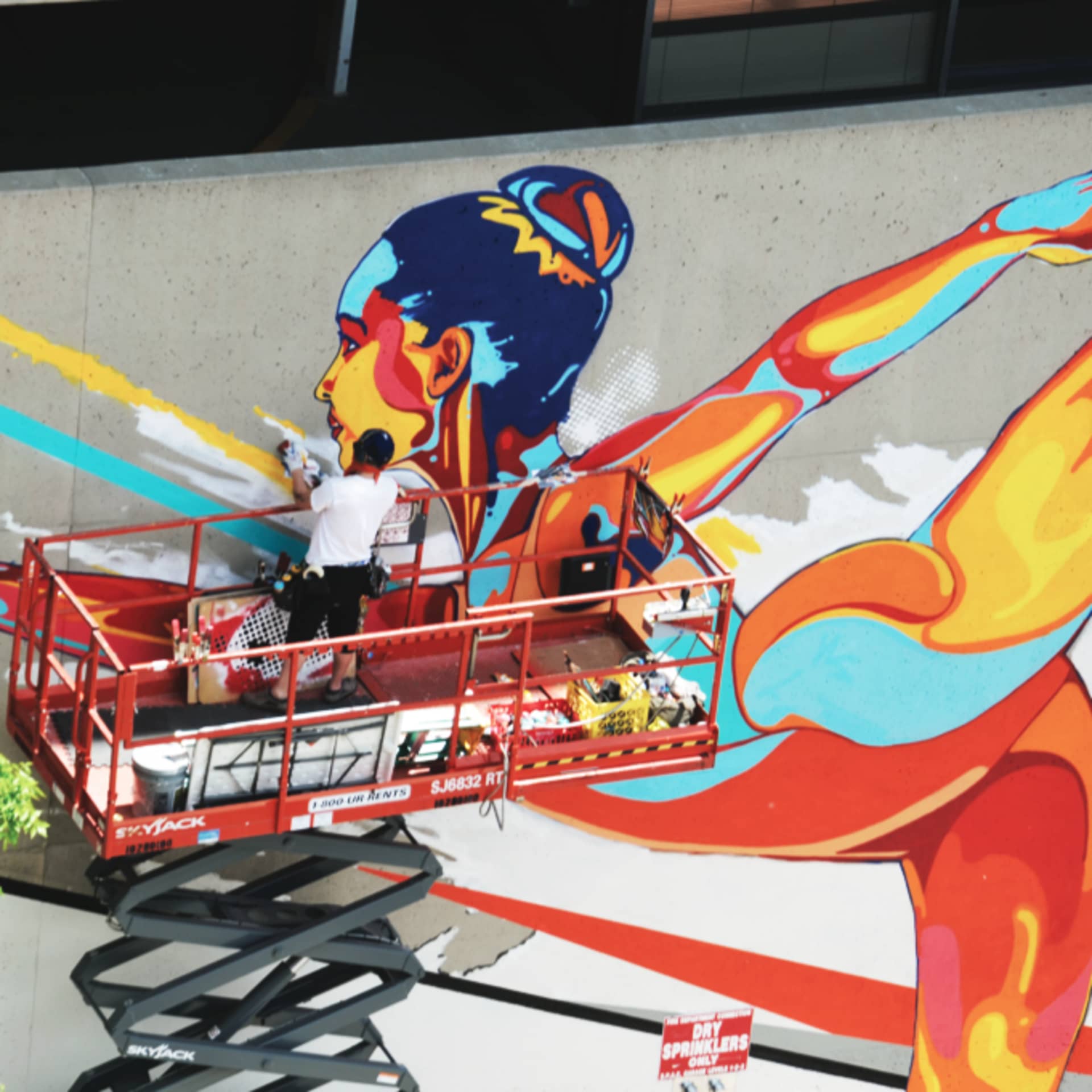 Dynamic Flow of Color and Motion detail