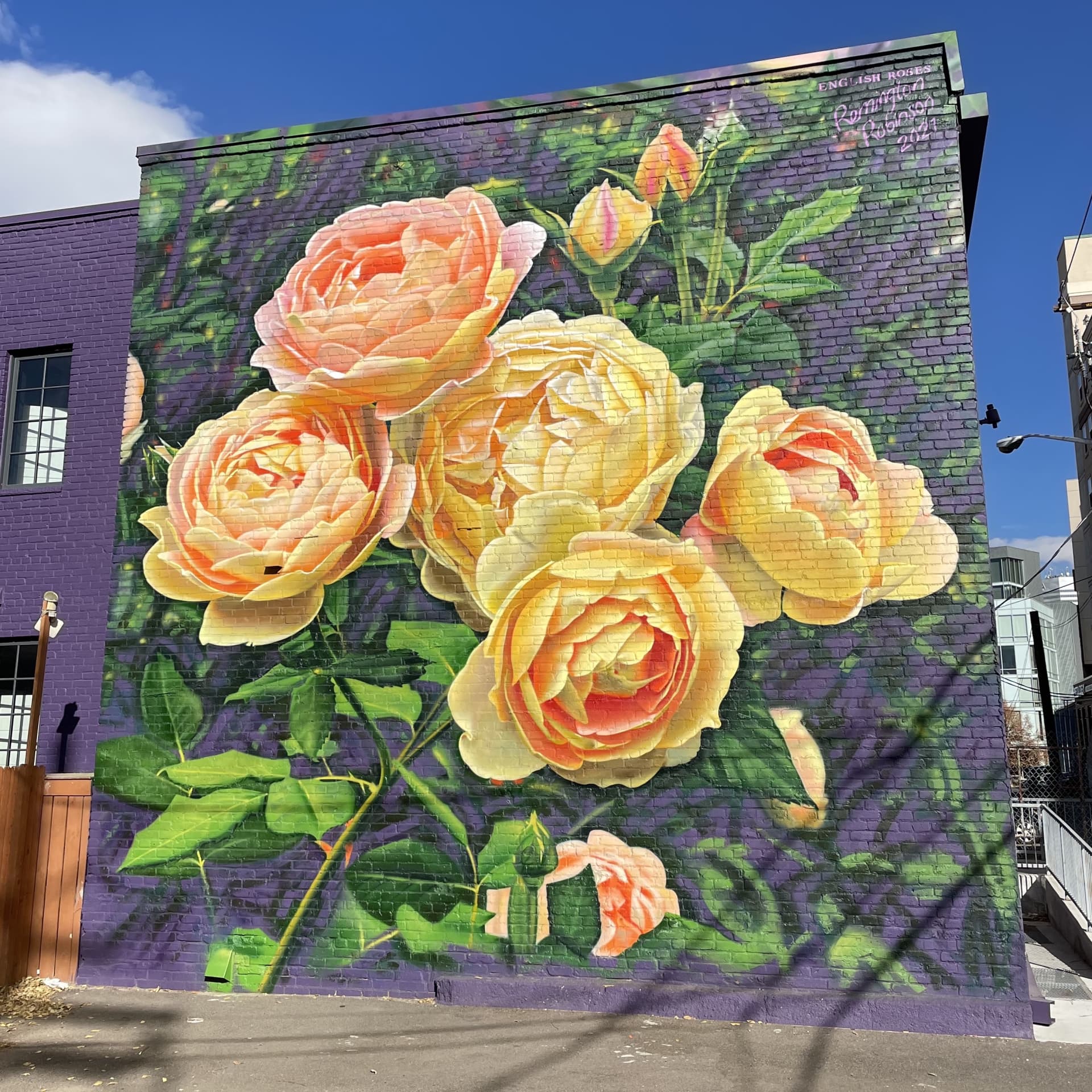 Blooming Whispers of Denver's Urban Garden detail